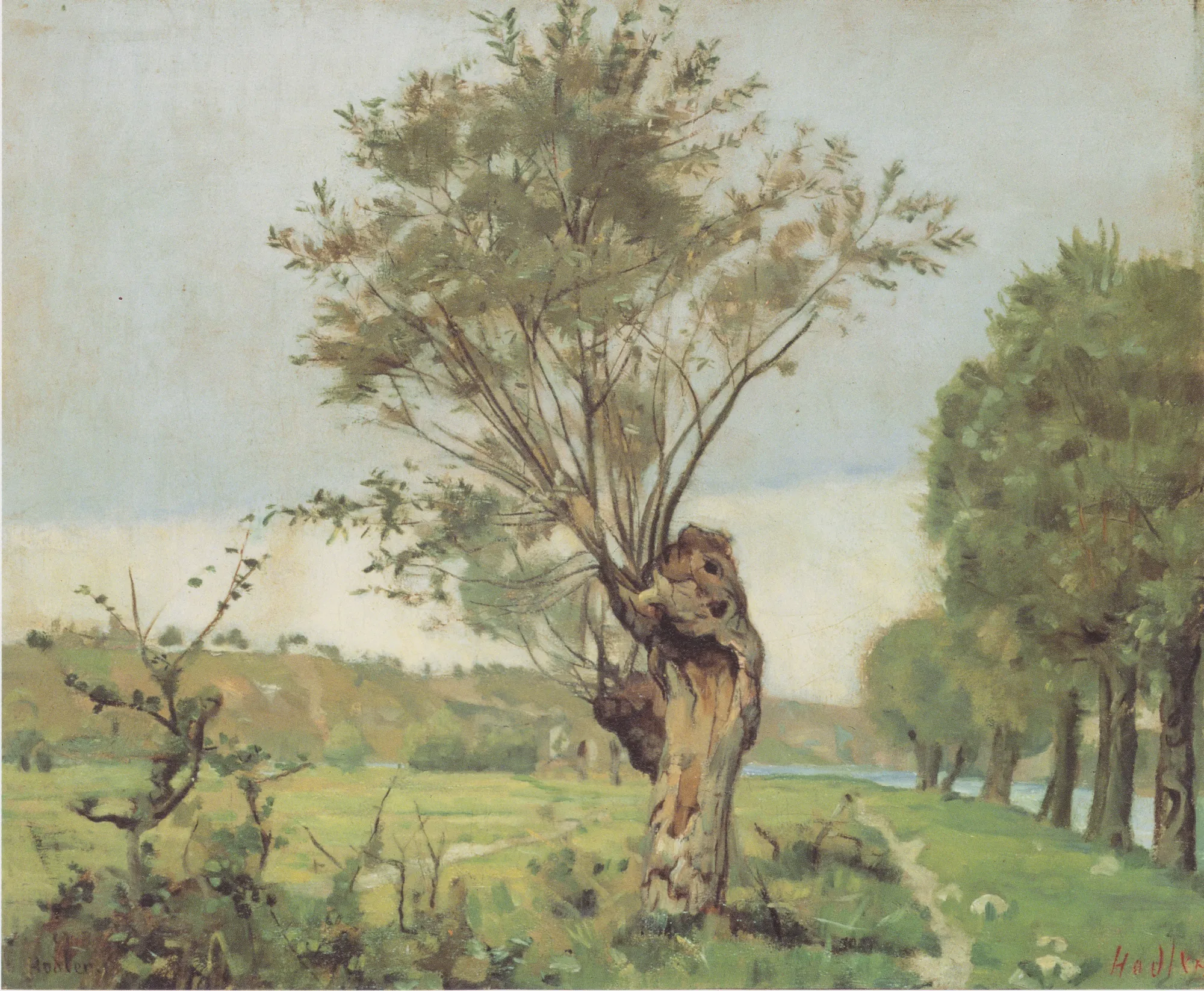Willows at the Jonction near Geneva