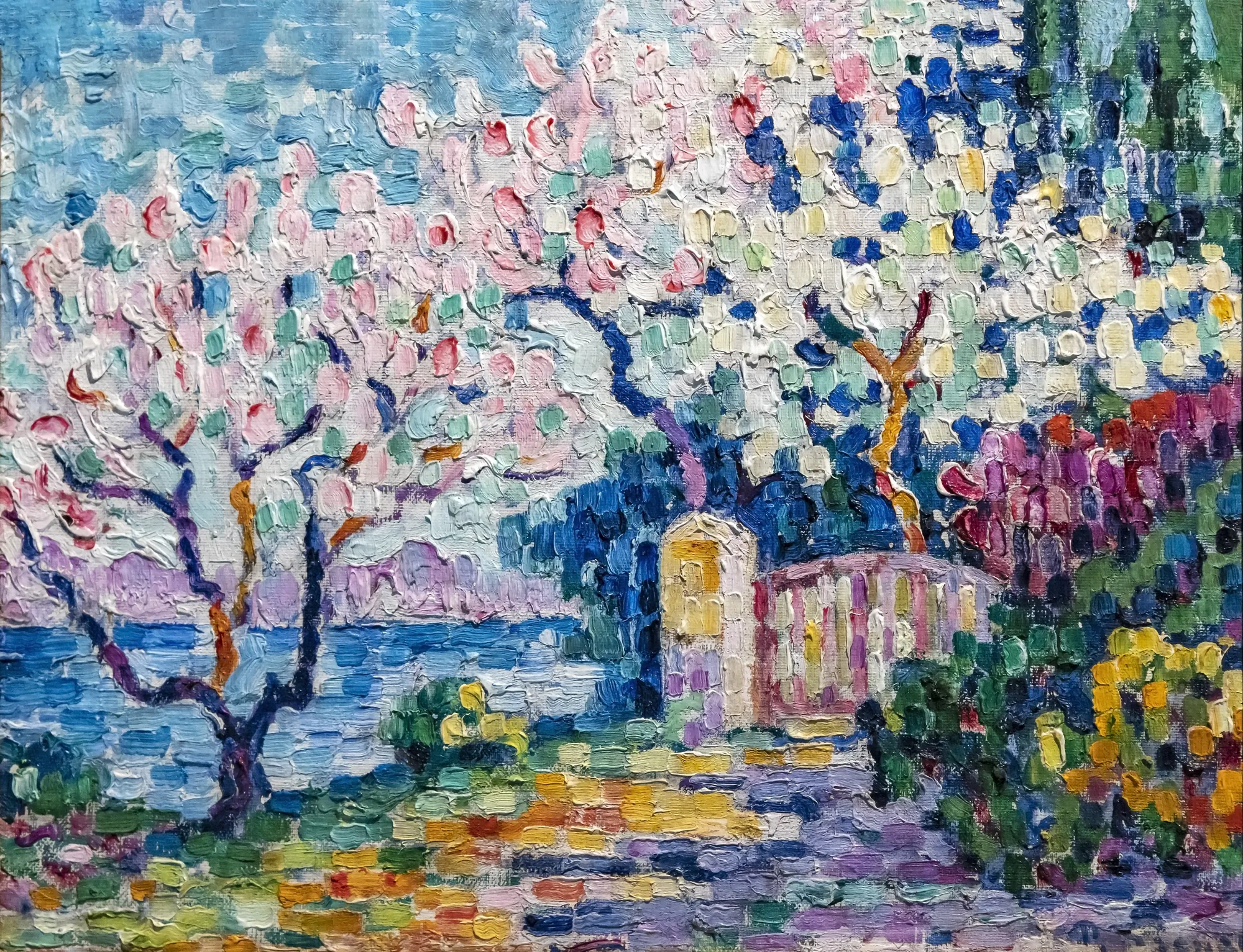 Almond Trees in Blossom