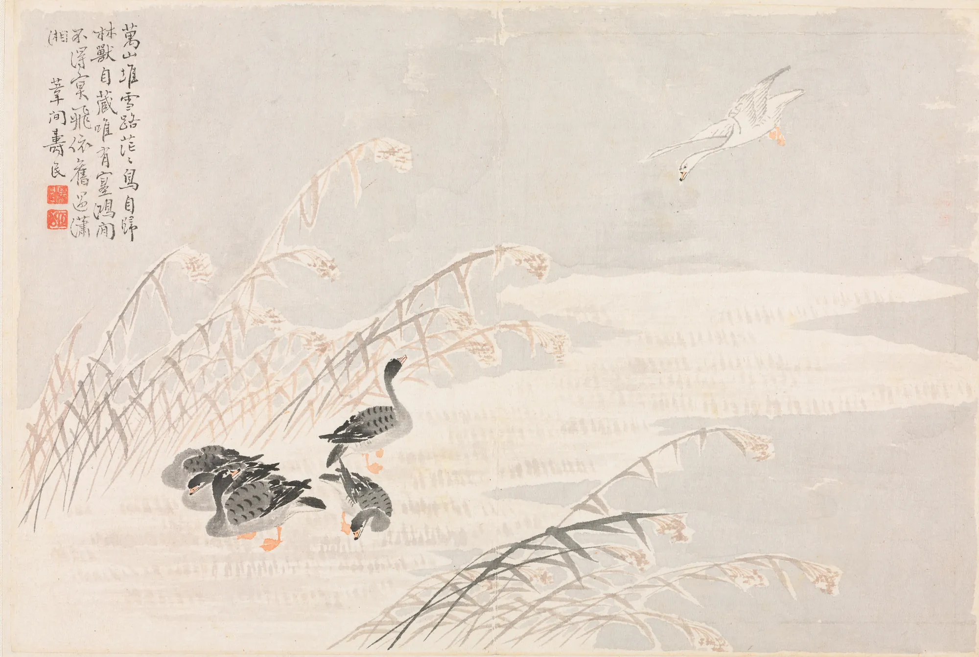 Wild Geese among Reeds