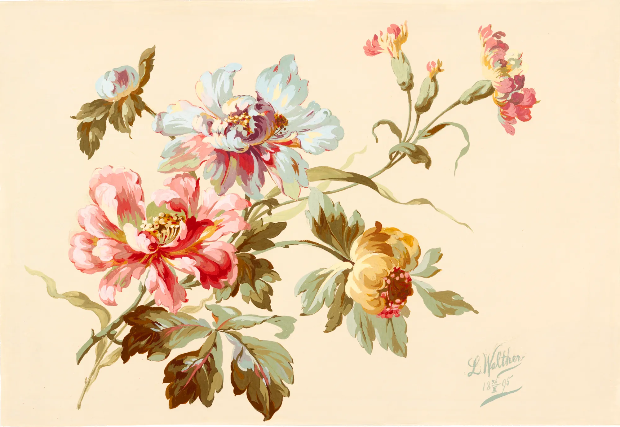 Flowers