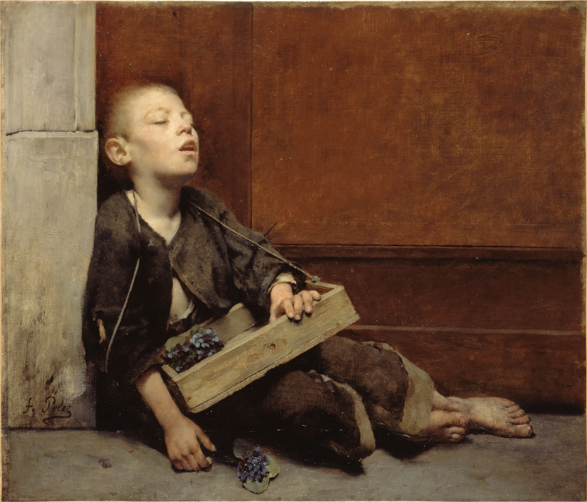 The Violet Merchant