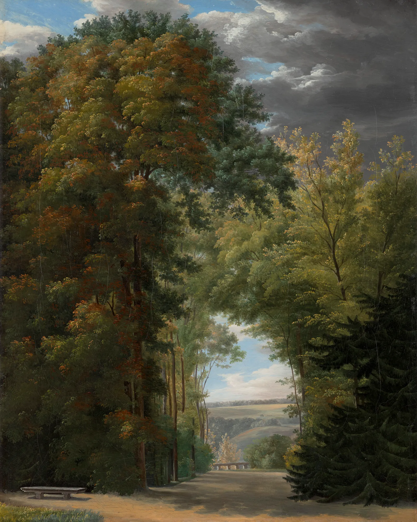 An Alley of Trees in a Park