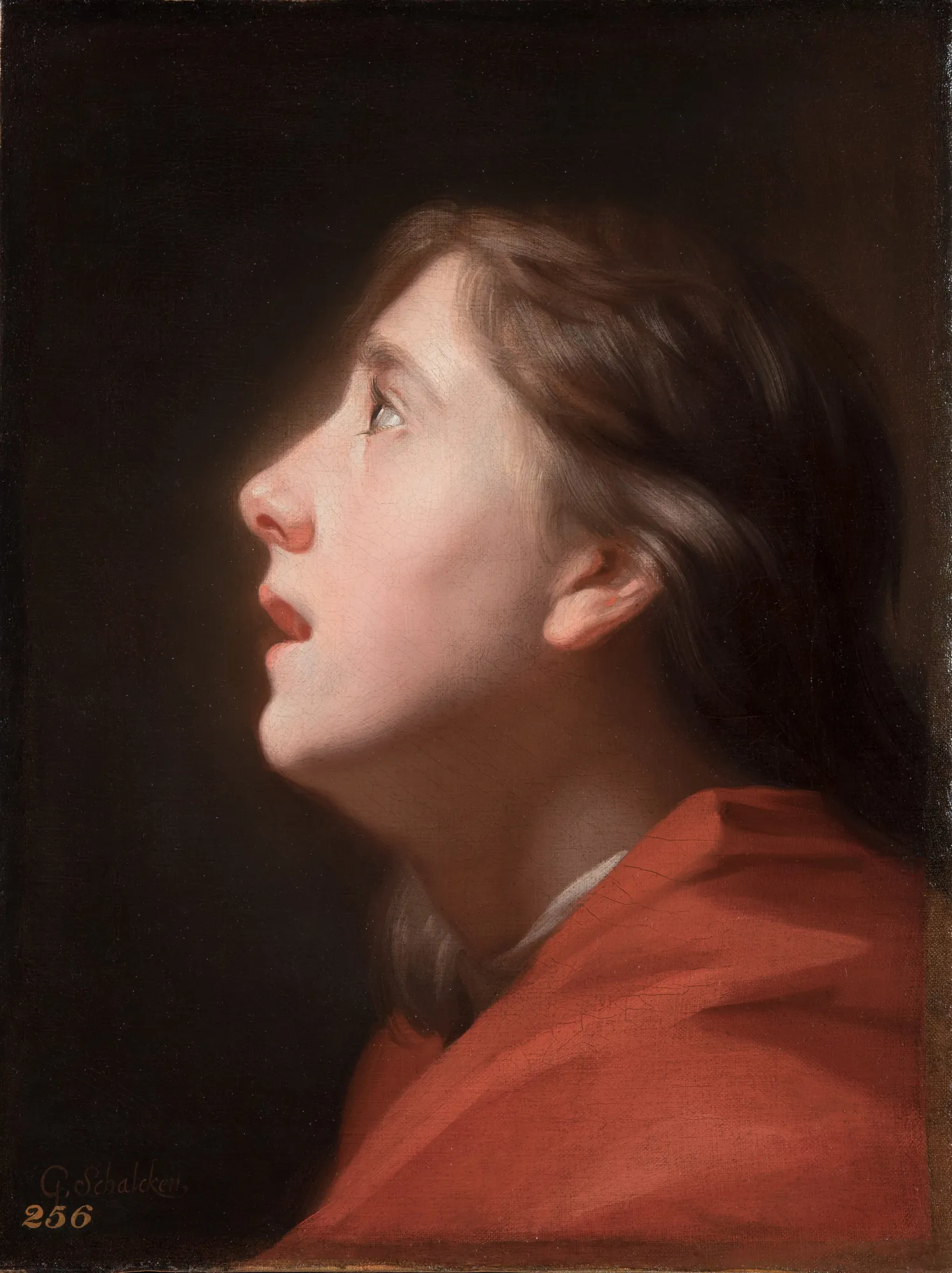 Study of a Boy Looking Up
