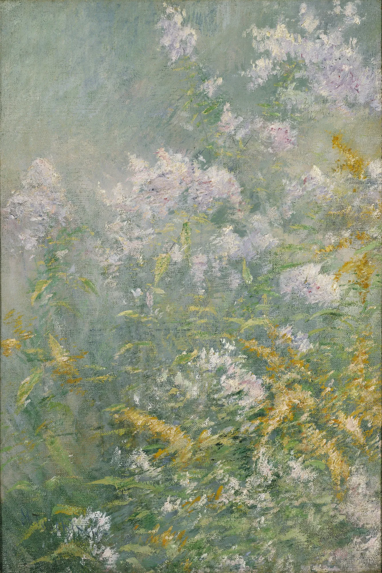 Meadow Flowers (Golden Rod and Wild Aster)