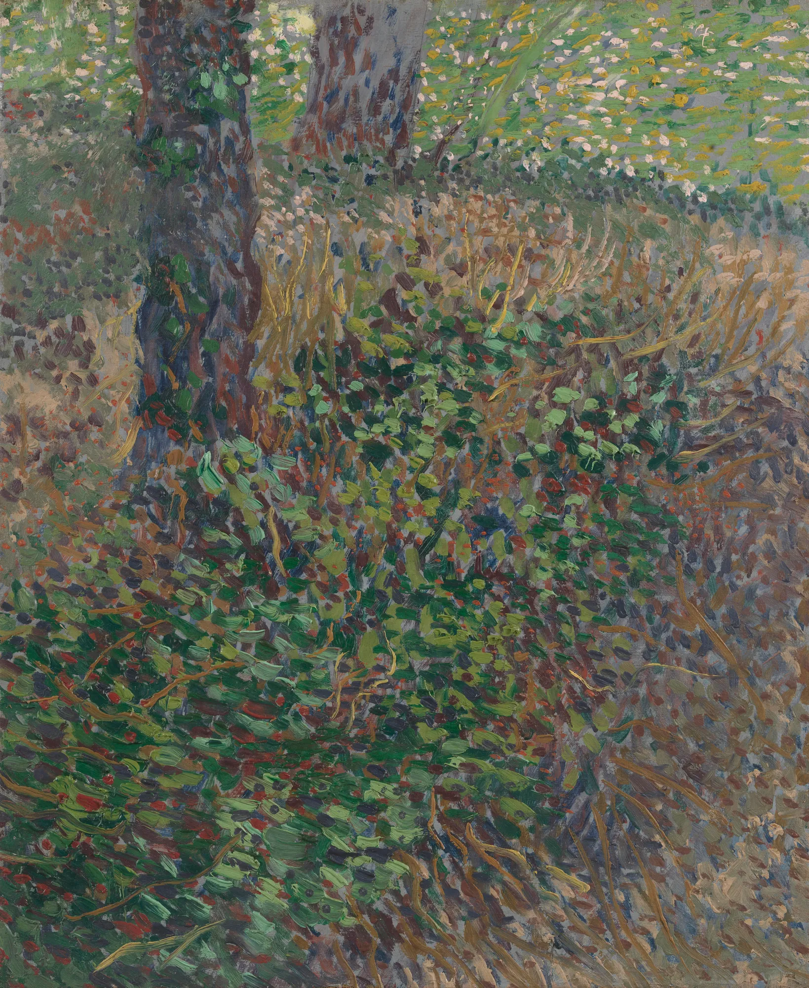 Undergrowth