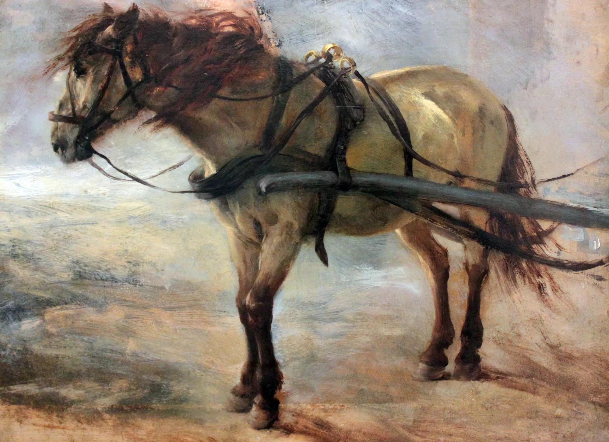 Carthorse