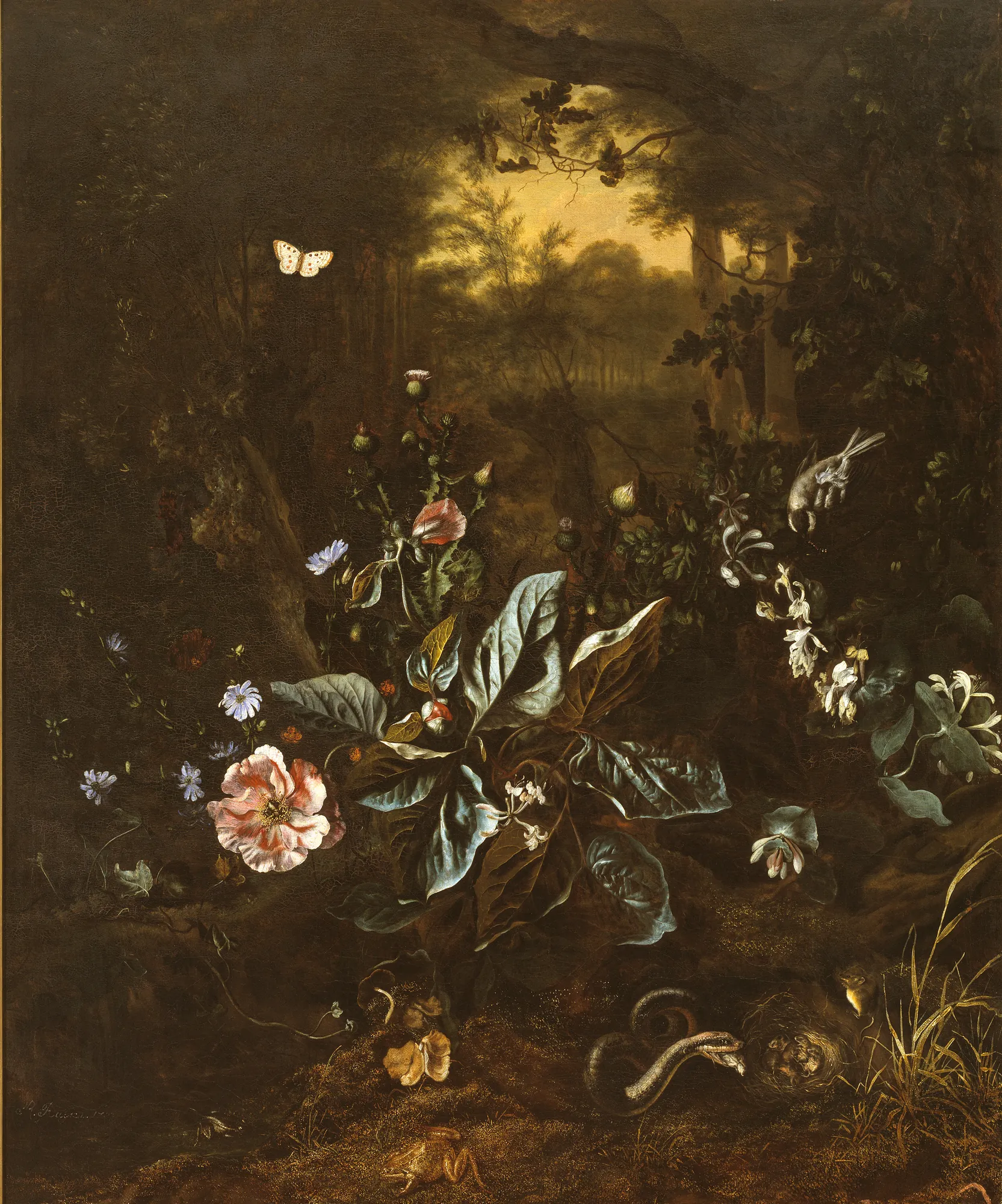 Still Life of Flowers and Small Animals at the Edge of a Forest