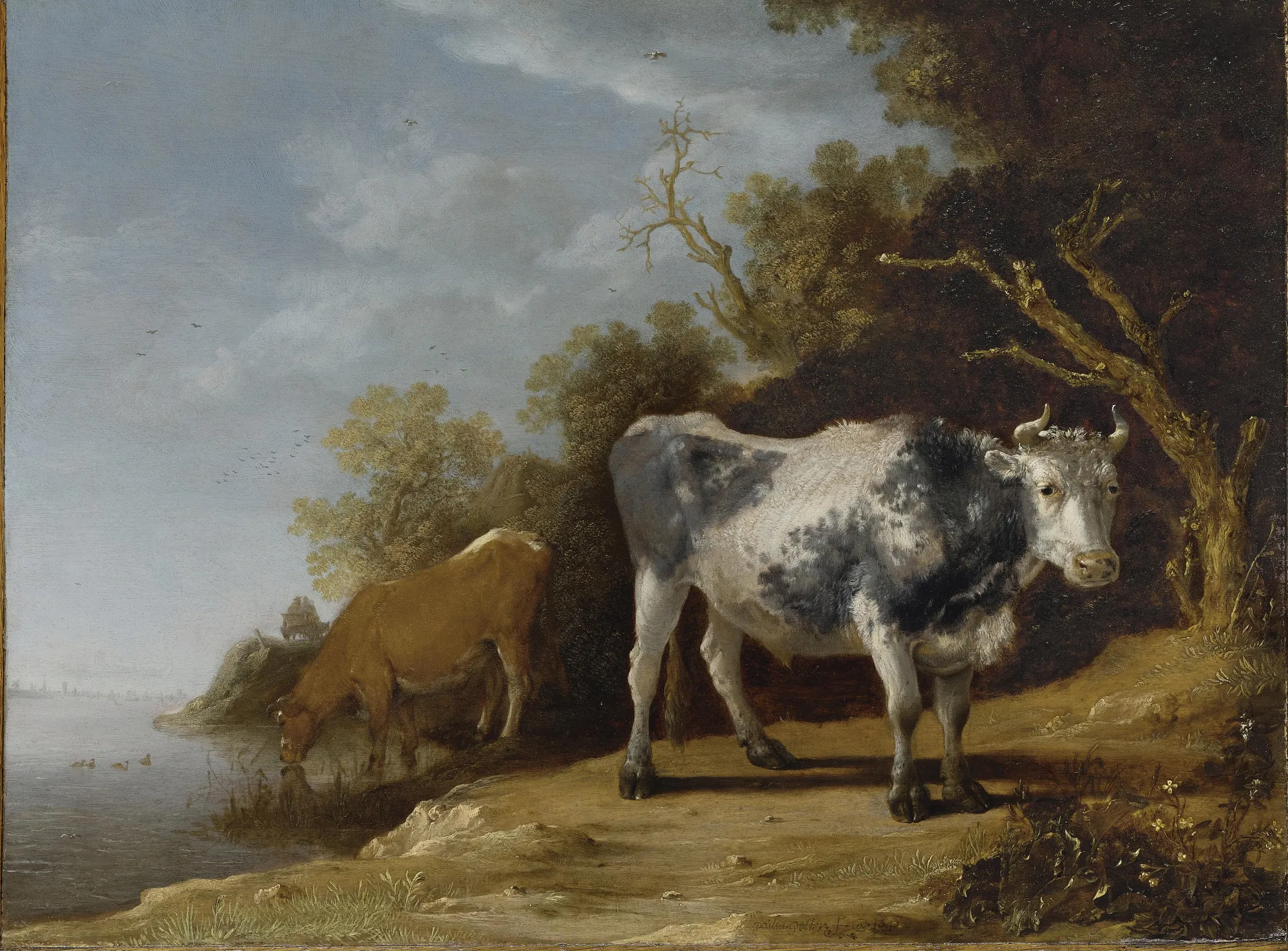 Two Cows beside a Stream Two Cows beside a Stream by Paulus Potter. A large black and white cow stands in profile while a second, brown cow drinks from a stream under a cloudy sky.