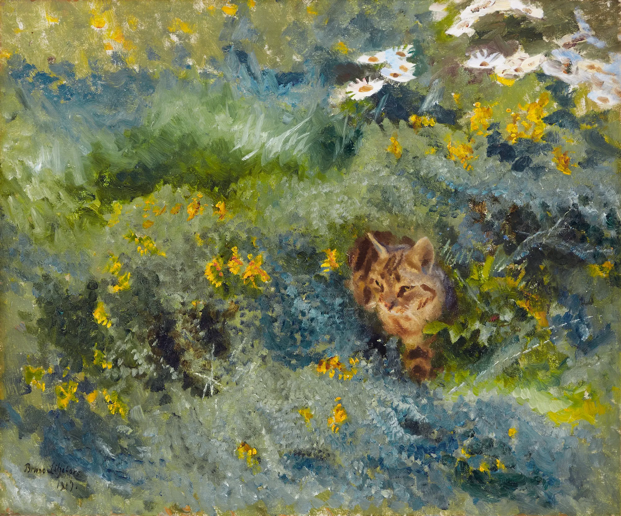 Cat on a Flowering Summer Meadow