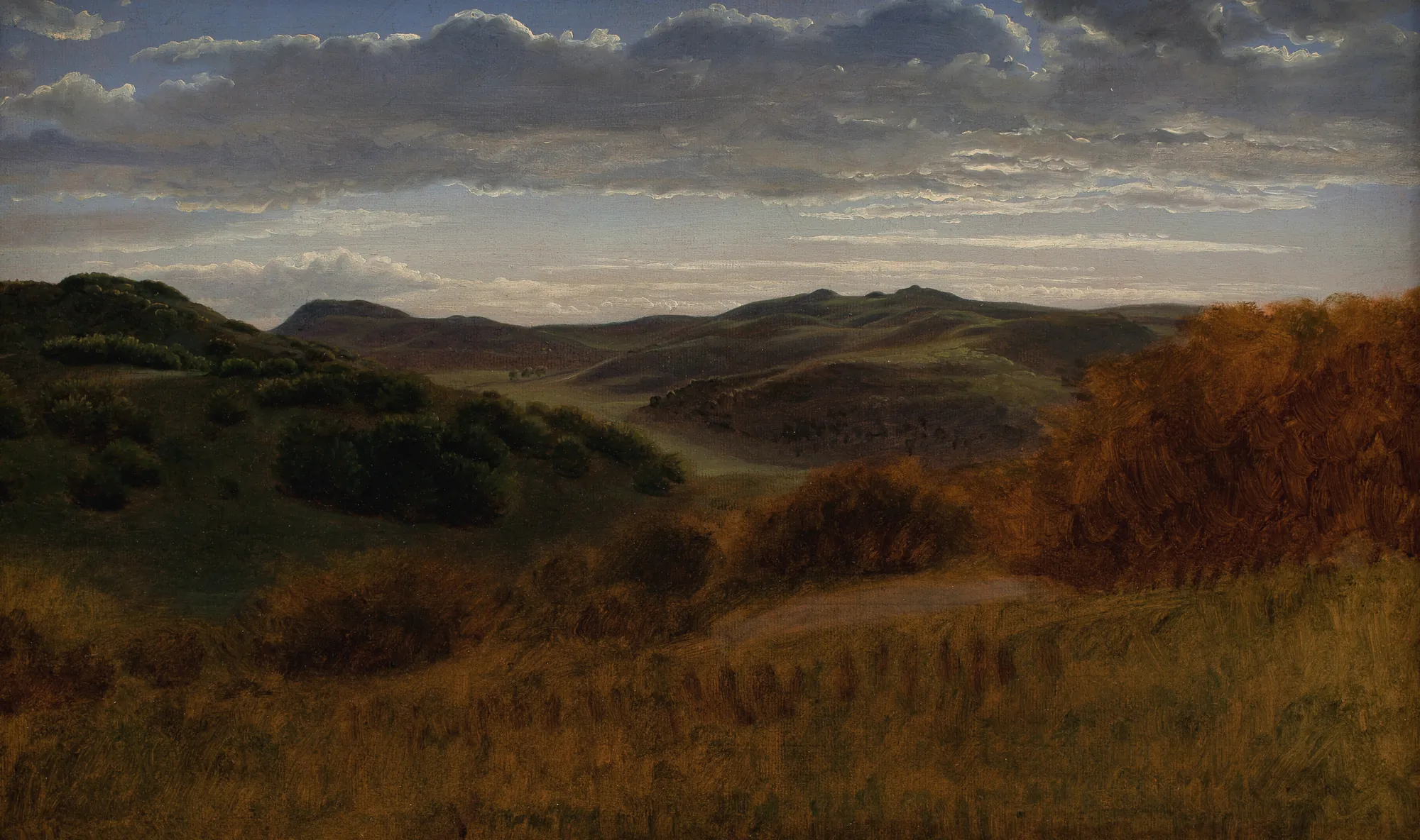 Hills behind the Møen Cliff