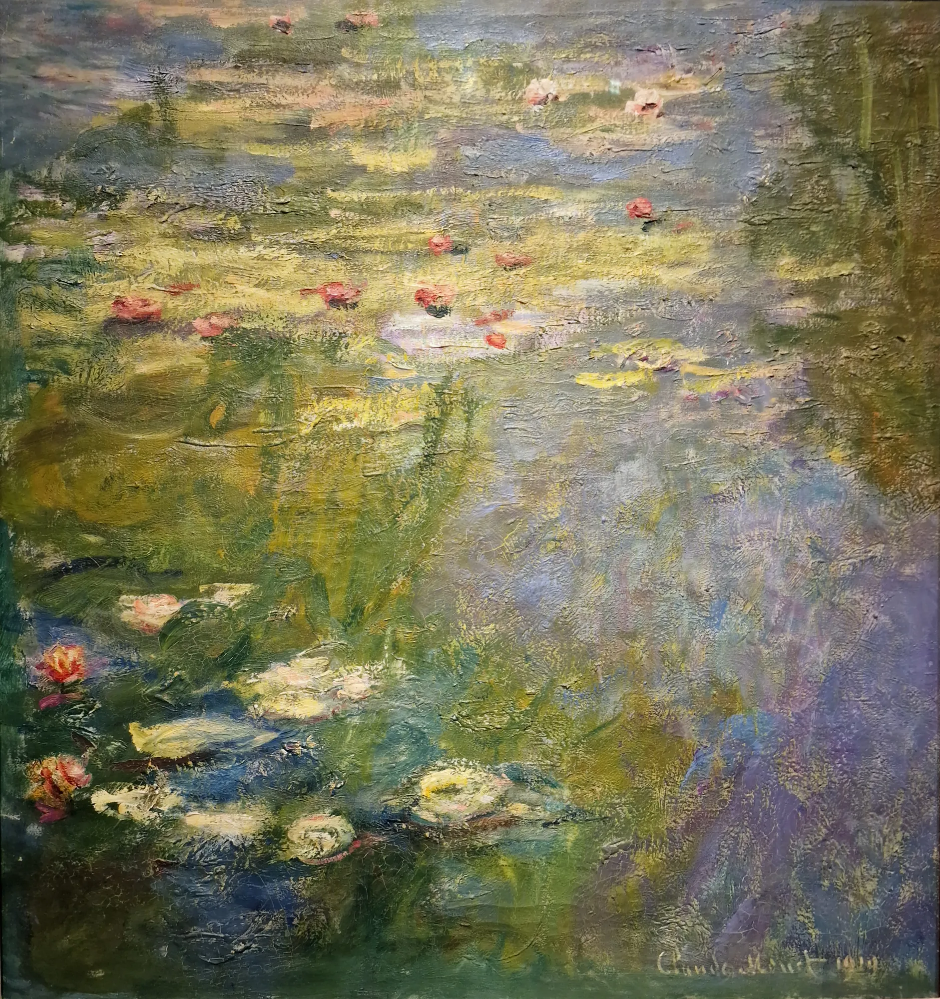 Water Lily Pond