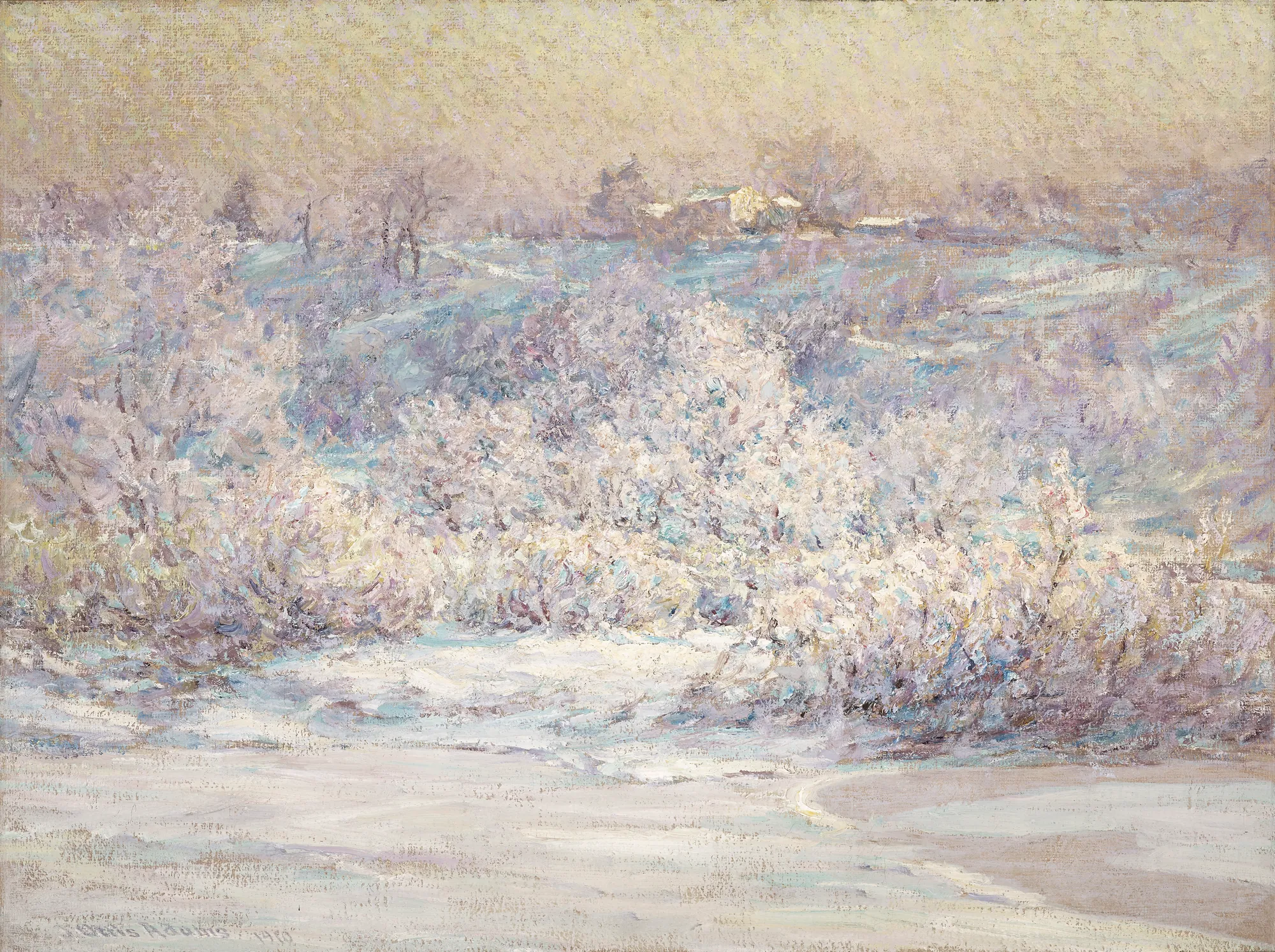 Frosty Morning