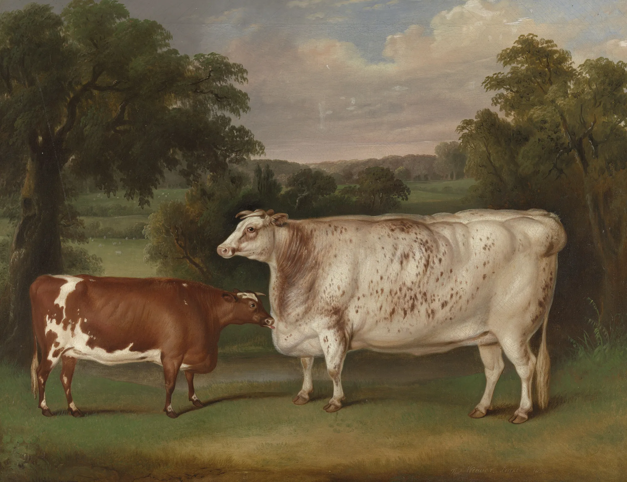 Prize Cattle in a Landscape