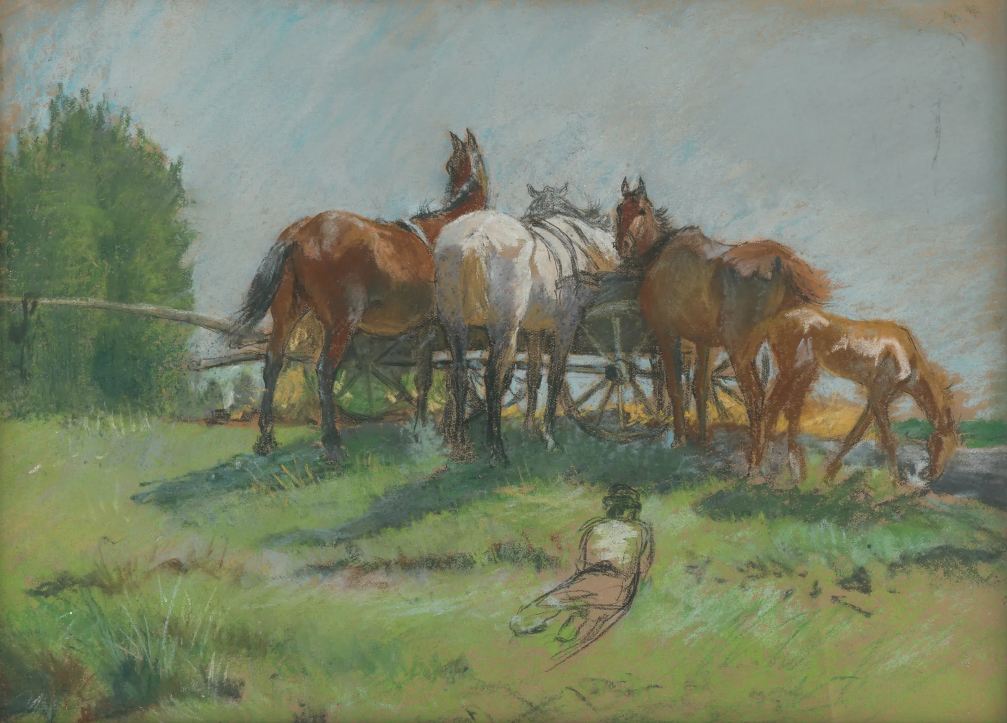 Horses