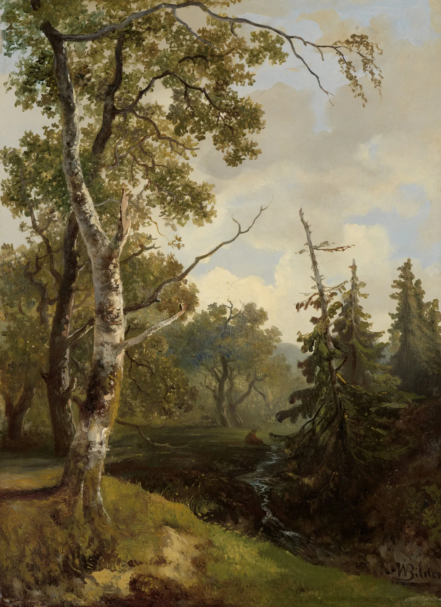 View of the Forest near Wolfheze
