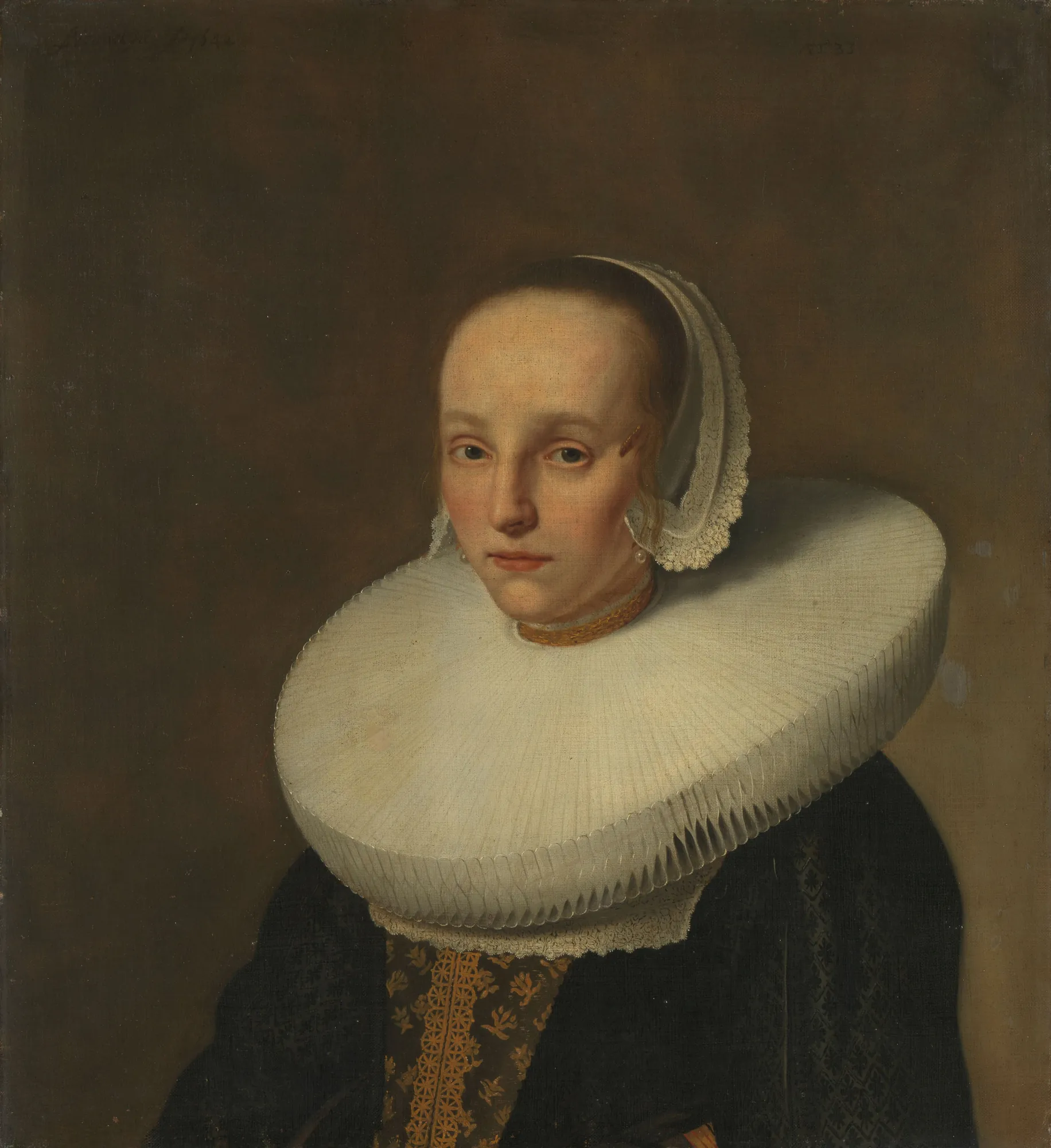Portrait of Anna van der Does Portrait of Anna van der Does by Paulus Hennekyn. A 17th-century bust-length portrait of a woman wearing a prominent white millstone ruff collar and a lace cap against a dark, neutral background.
