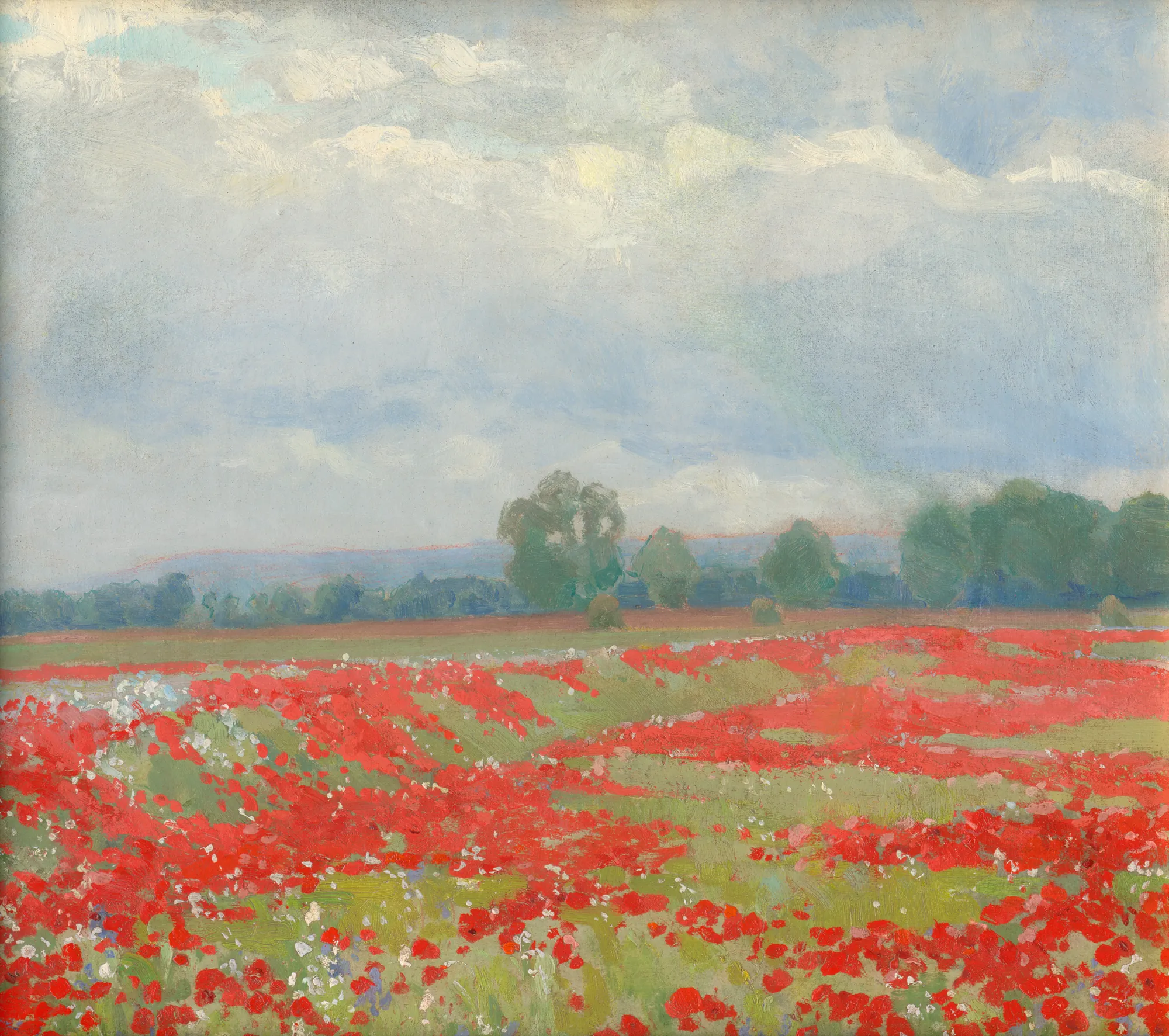 Landscape