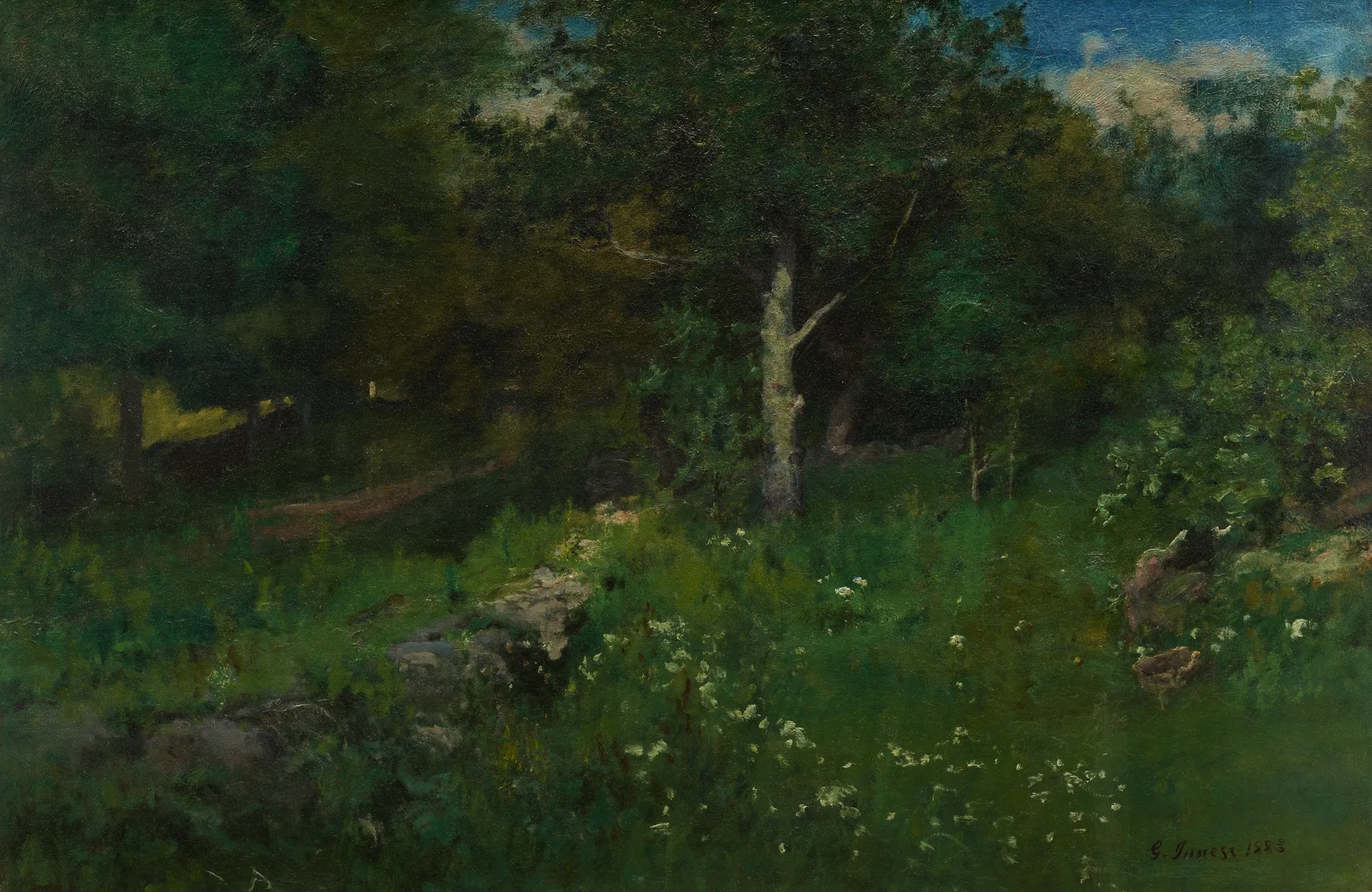 Summer Foliage