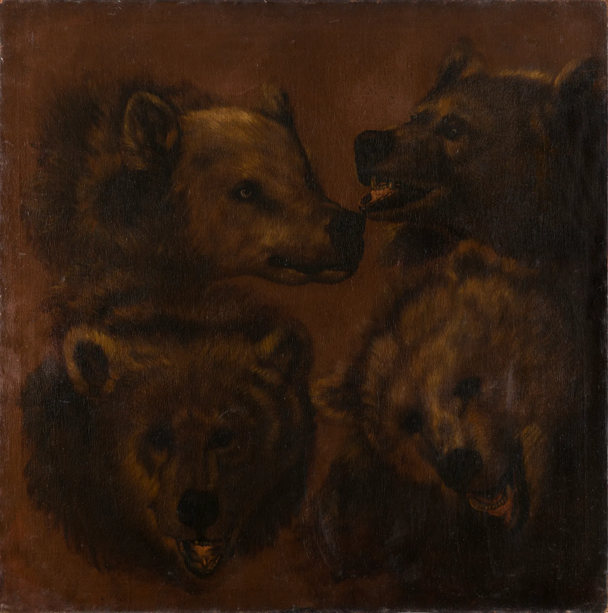 Four Life-sized Bear Heads