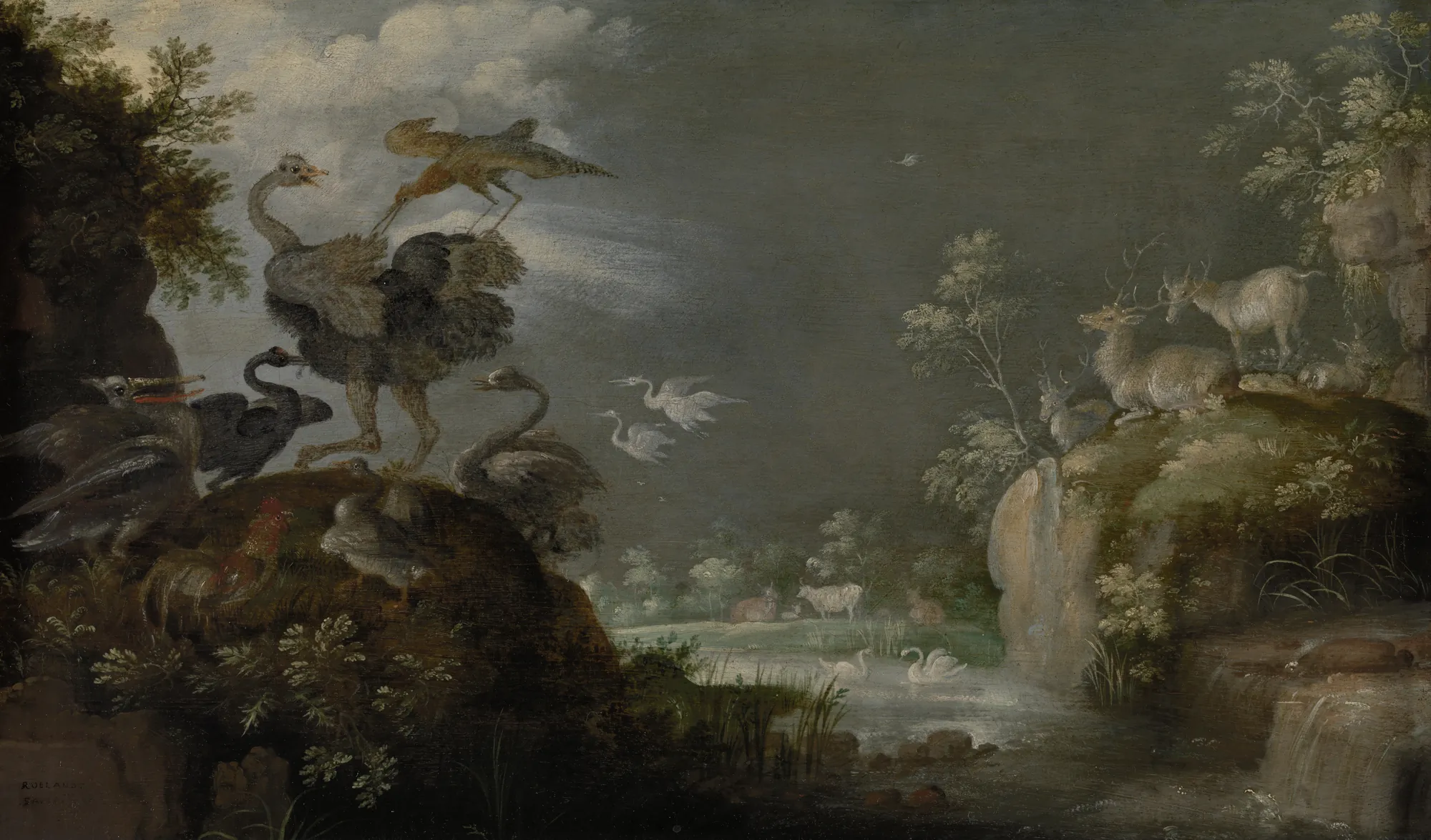 Landscape with Ostrich