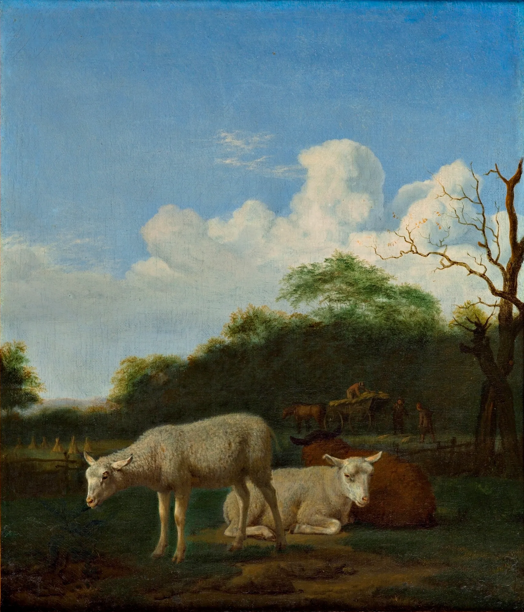Three Sheep