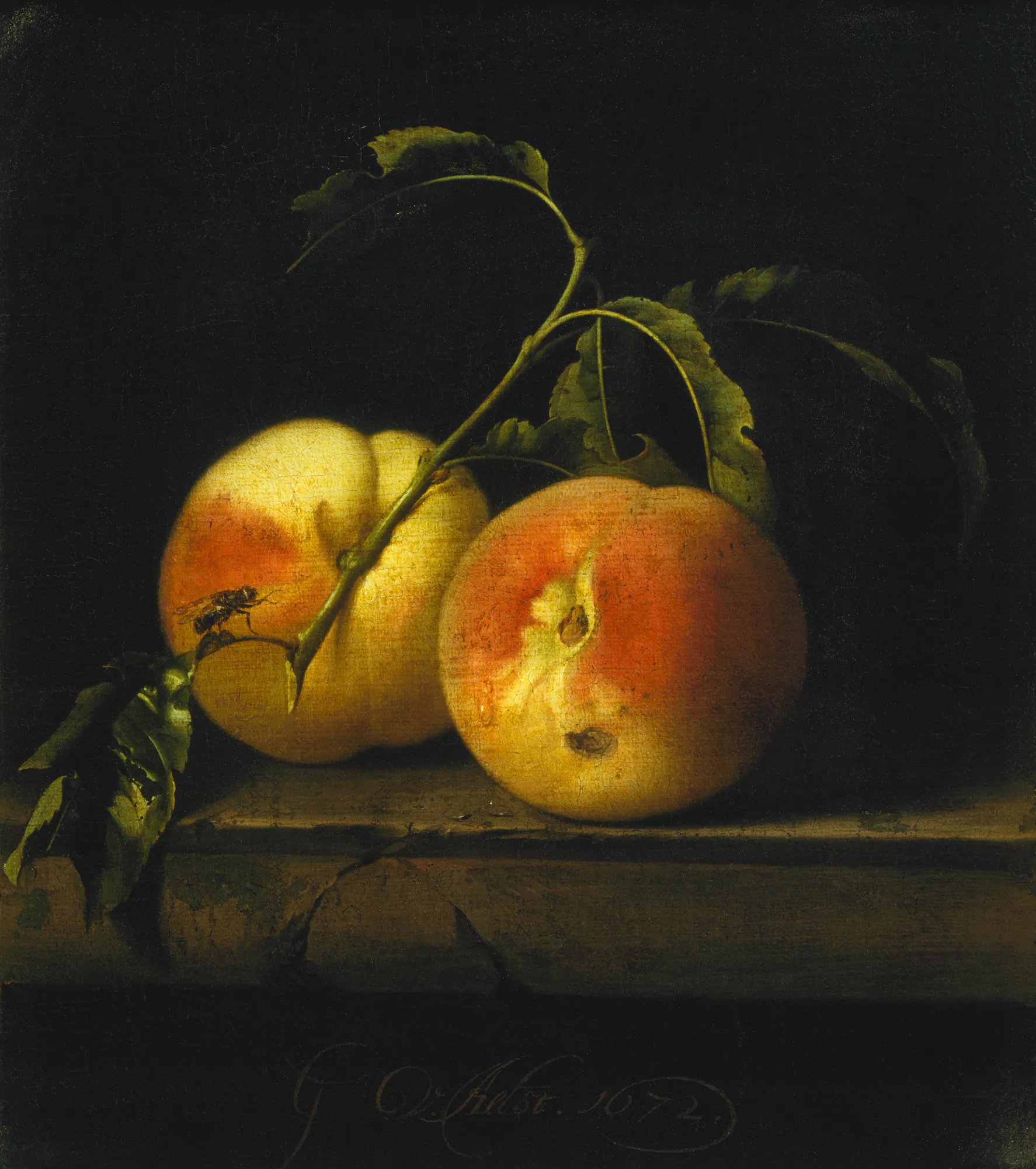 Still Life of Two Peaches on a Stone Ledge Still Life of Two Peaches on a Stone Ledge by Willem van Aelst. Two ripe peaches with attached leaves rest on a weathered stone ledge against a dark, minimalist background.