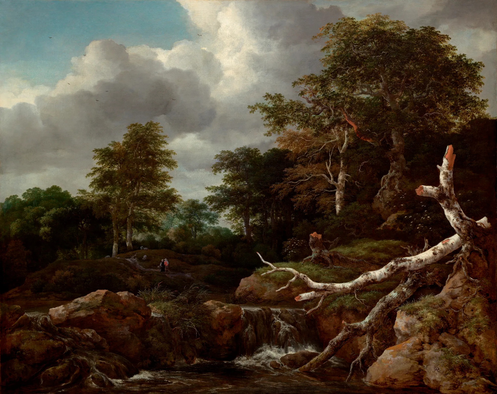 Forest Scene