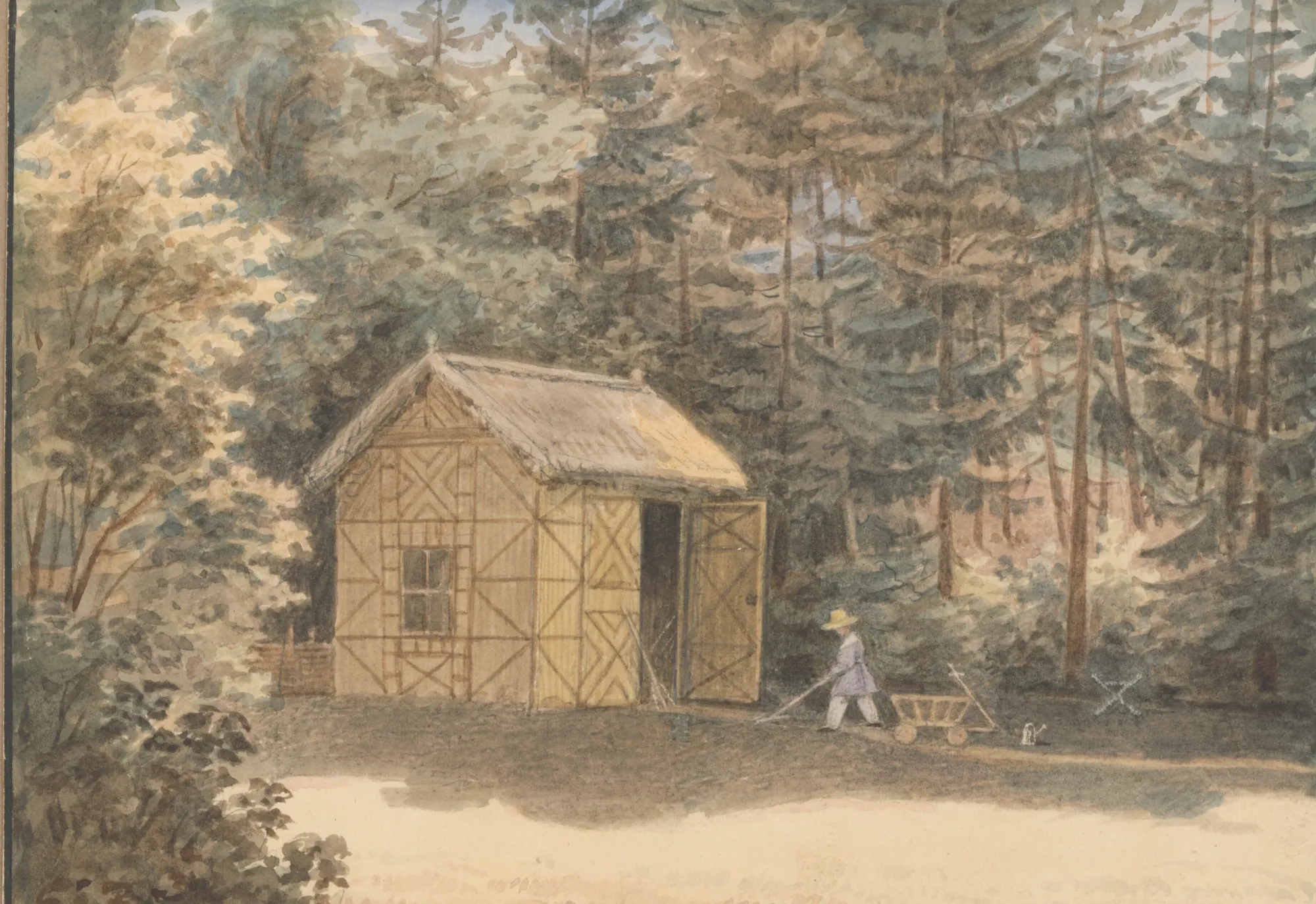 Son Viktor in the Park in Rusovce