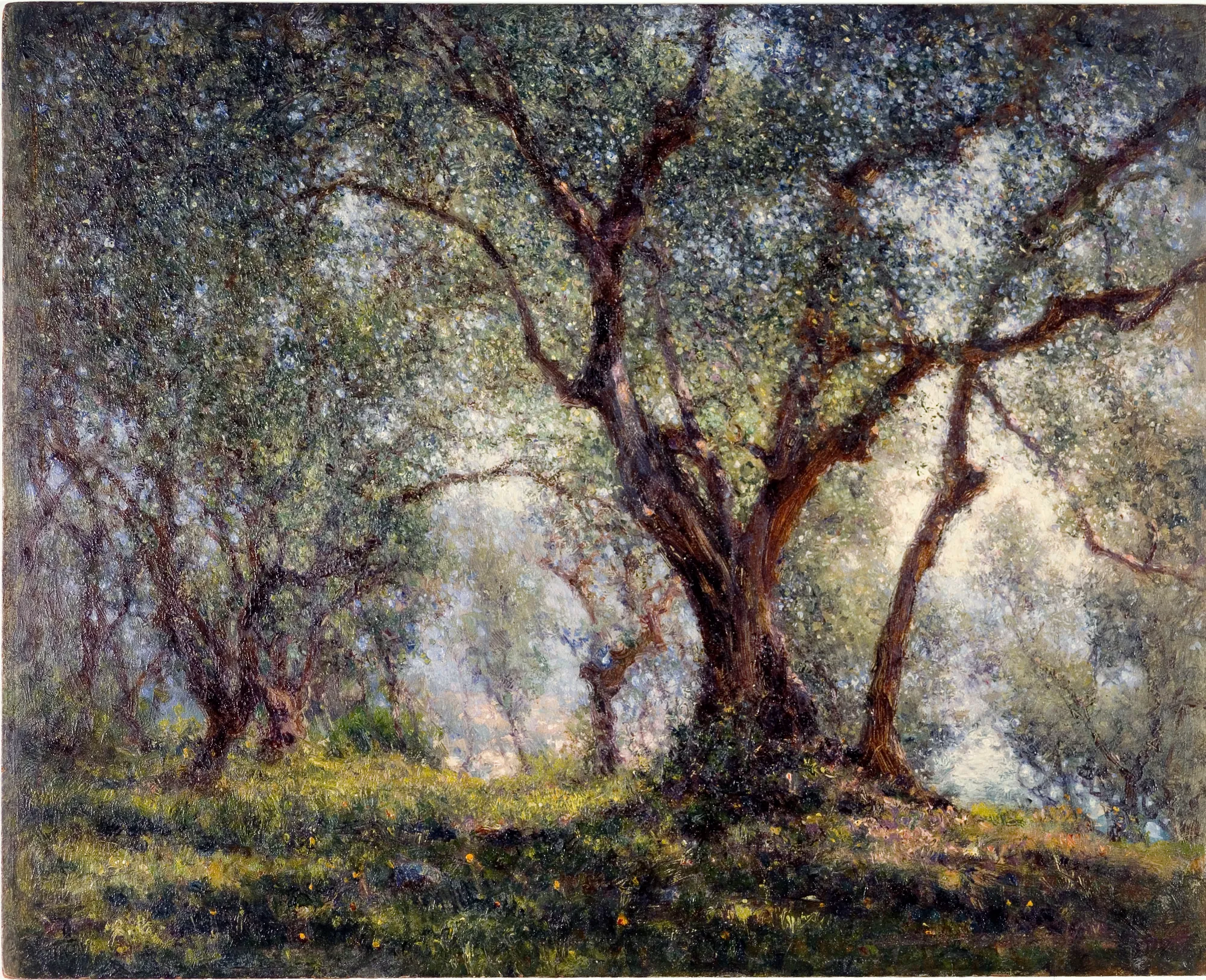 Les Oliviers à Menton
