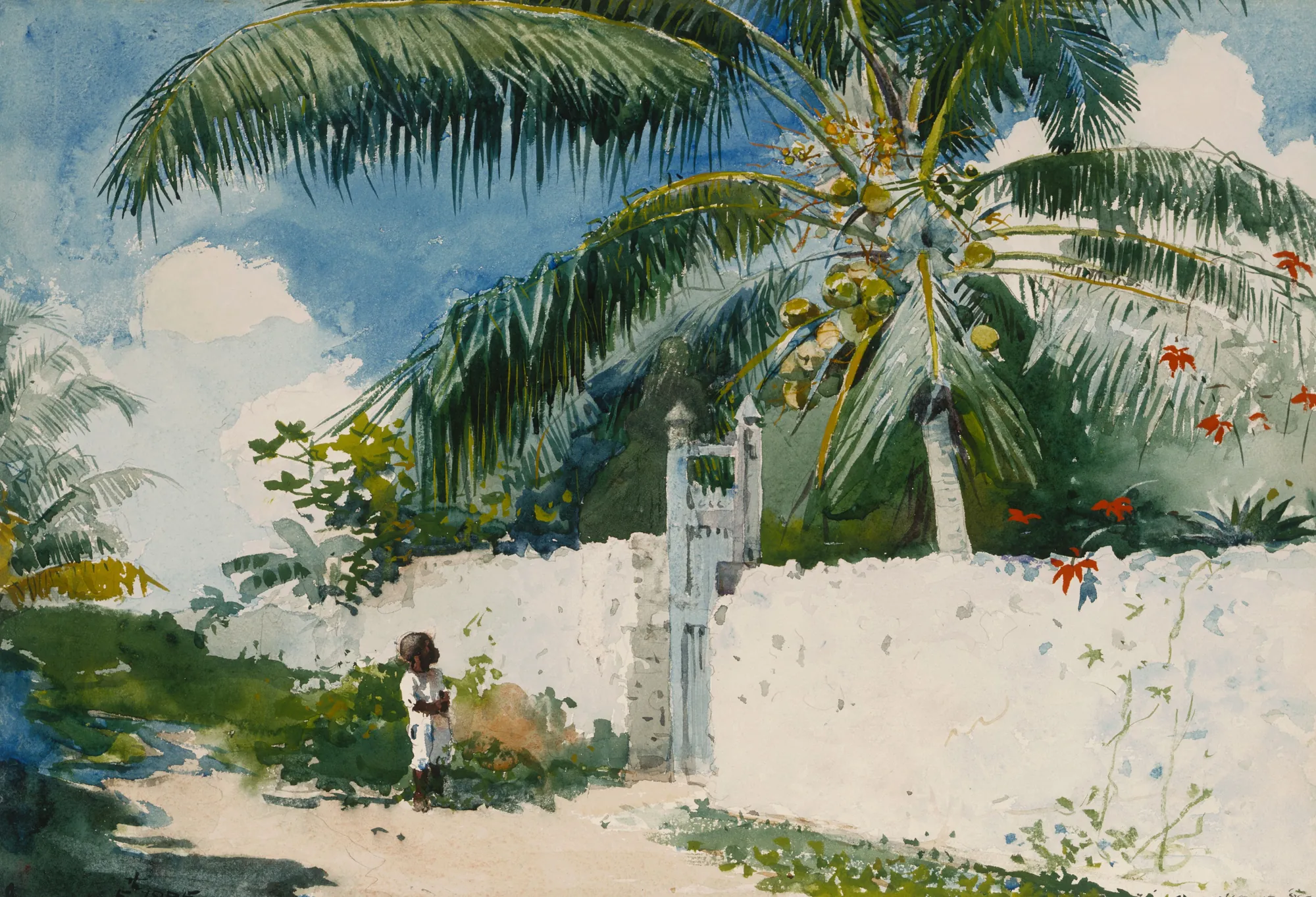 A Garden in Nassau
