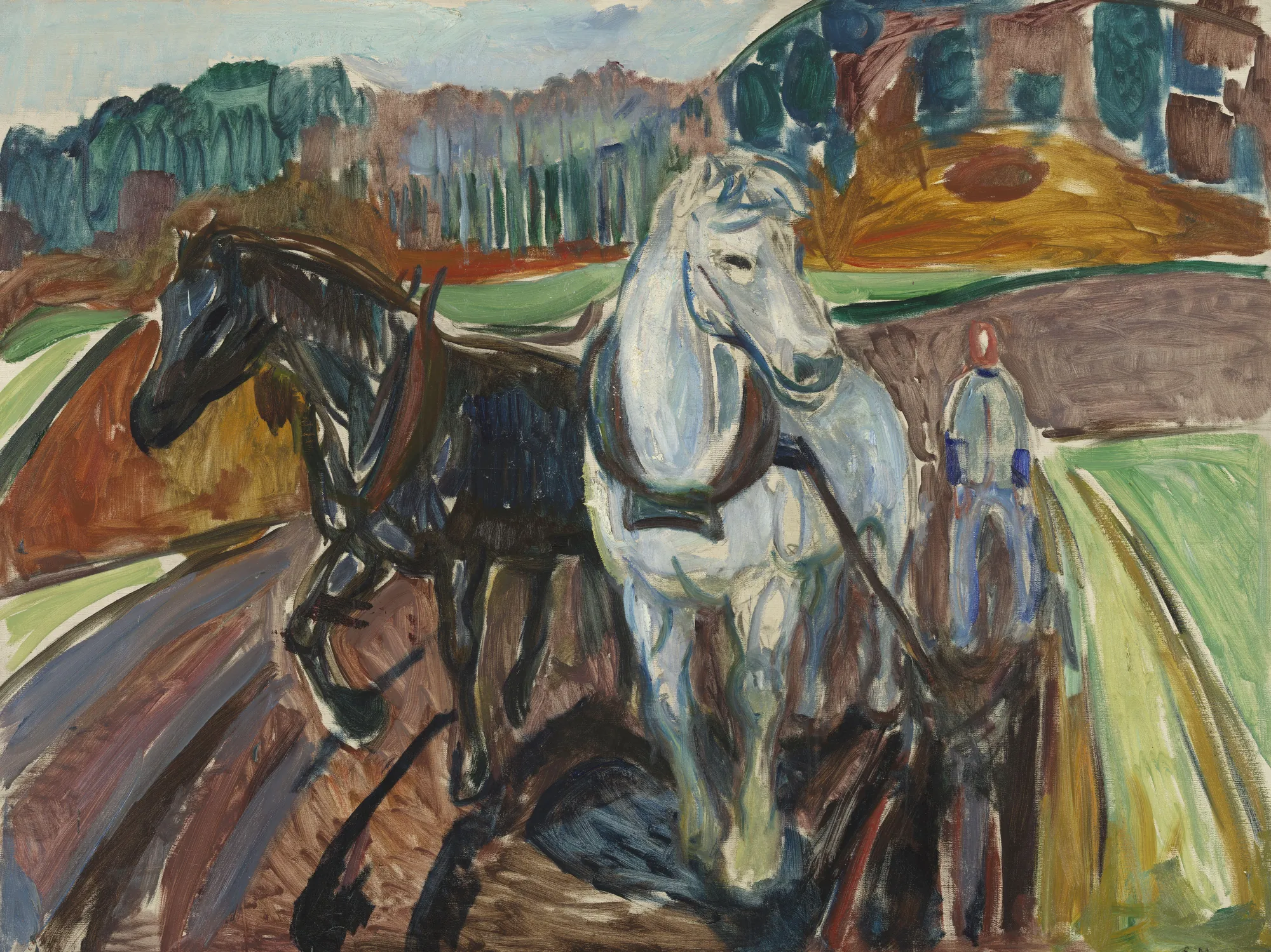 Autumn Ploughing
