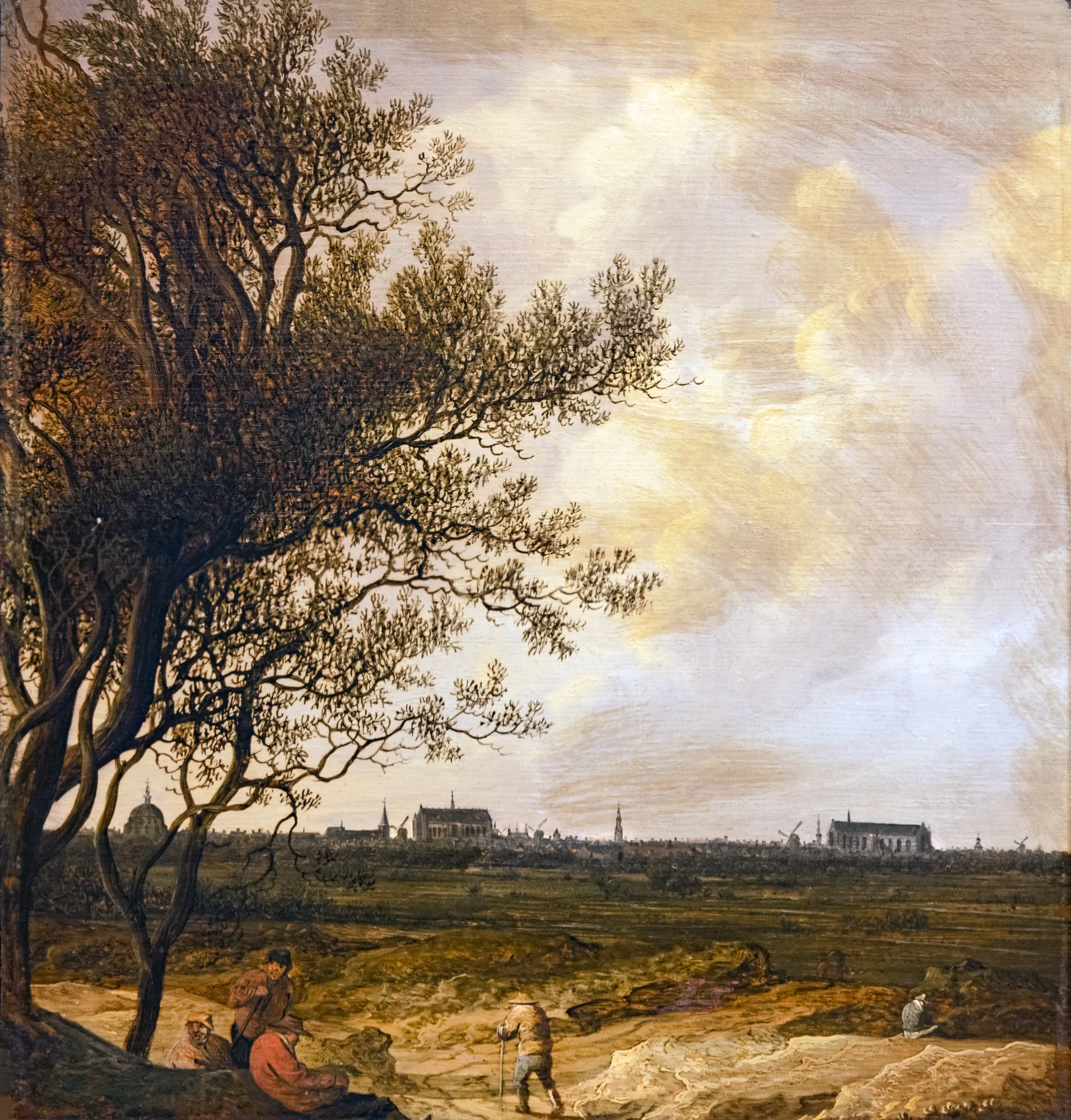 View of Leiden