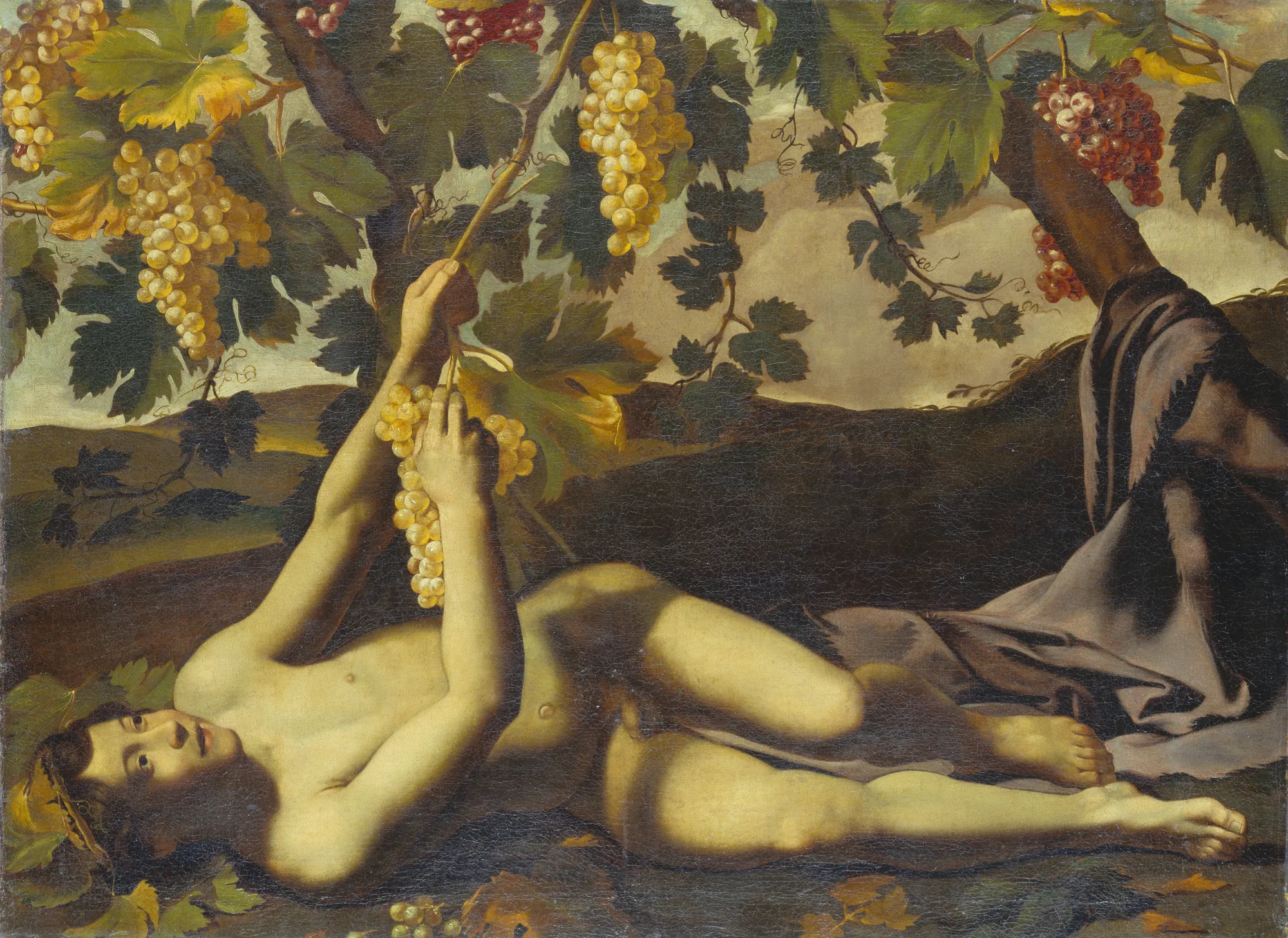 The Young Bacchus The Young Bacchus by Unknown Artist. A youthful nude figure reclining under a grapevine, holding a cluster of white grapes toward the viewer.