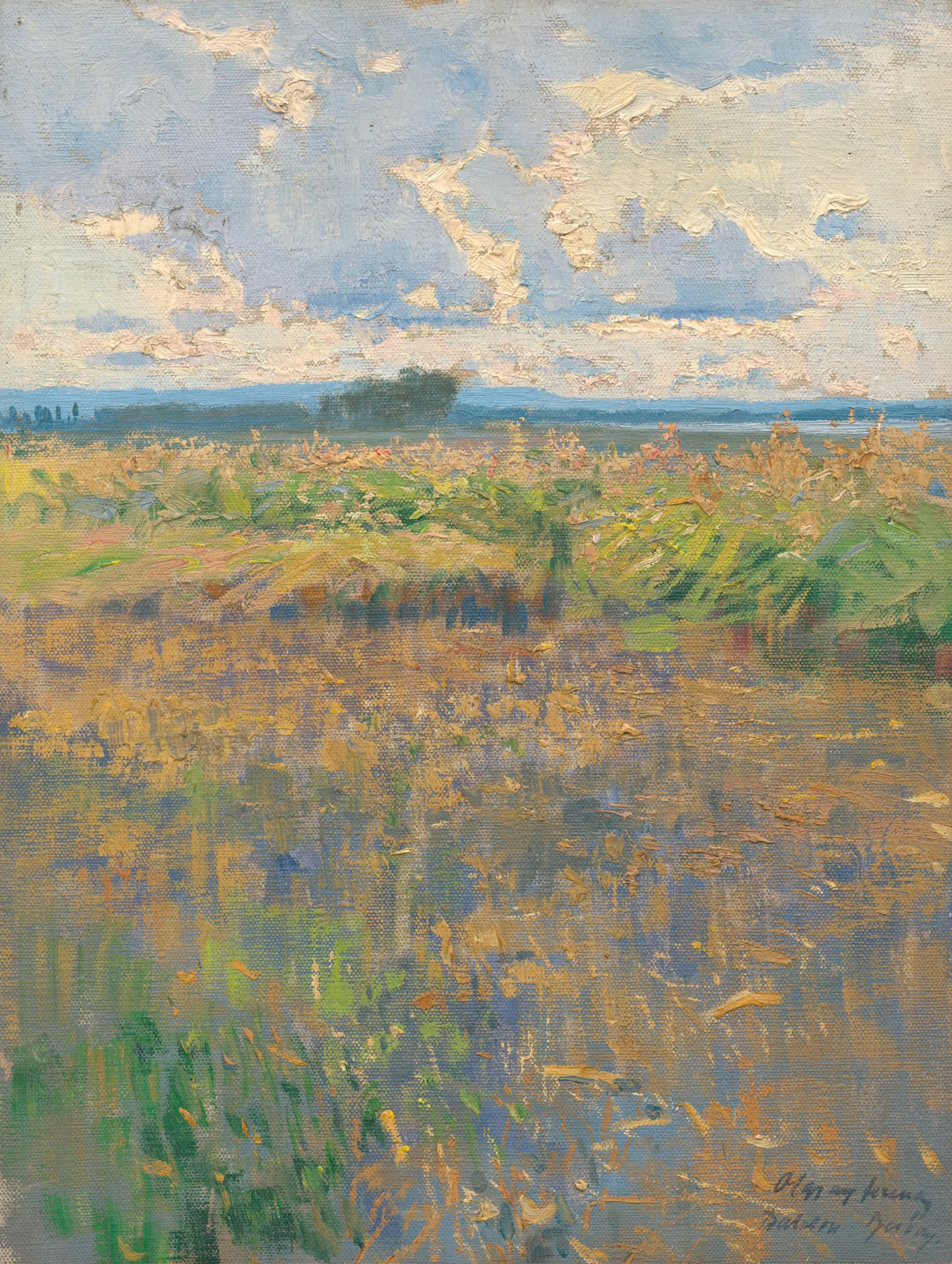 Summer Landscape (Letná krajina)