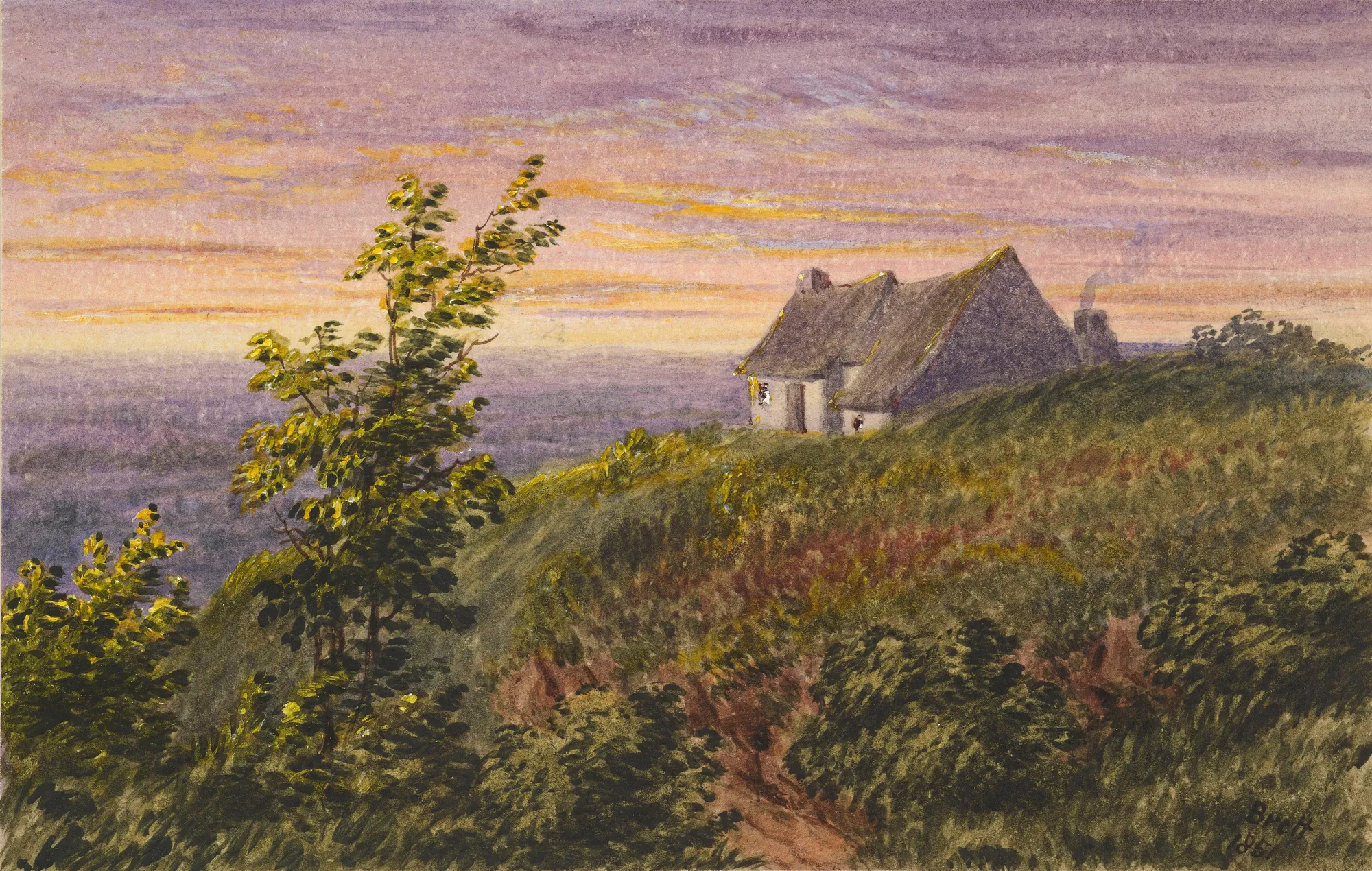 From Bluebell Hill
