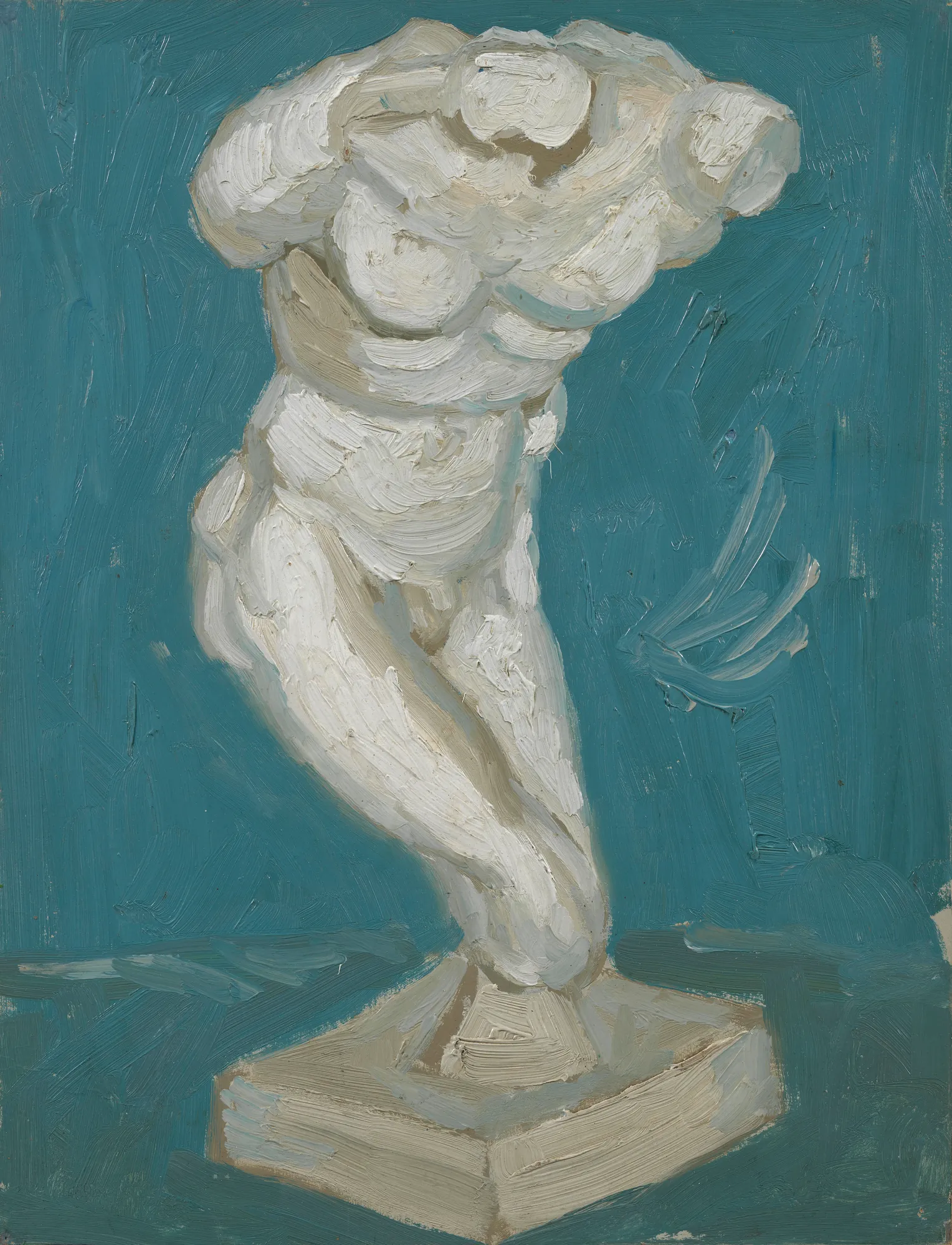 Male Torso