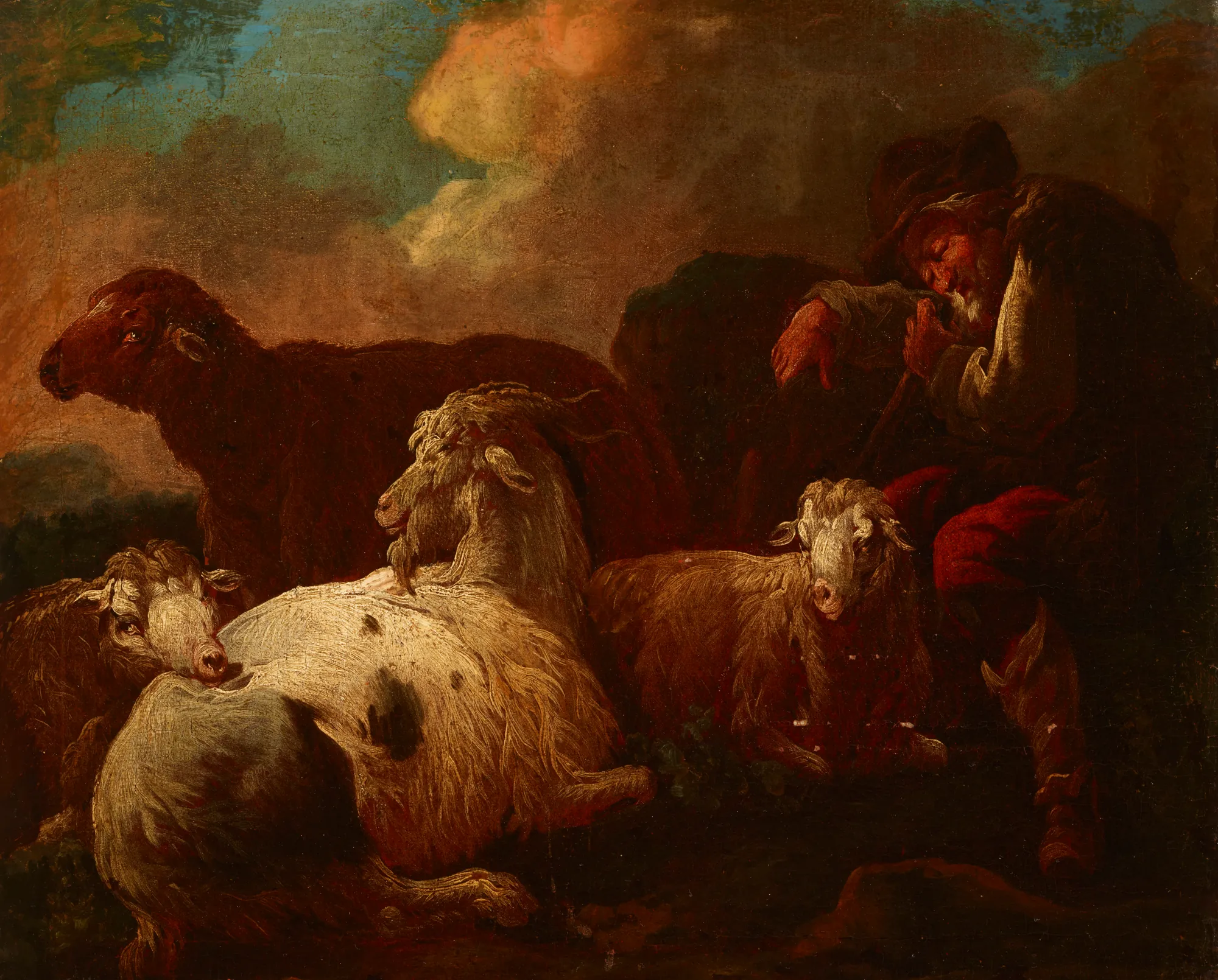 Goats and Sheep
