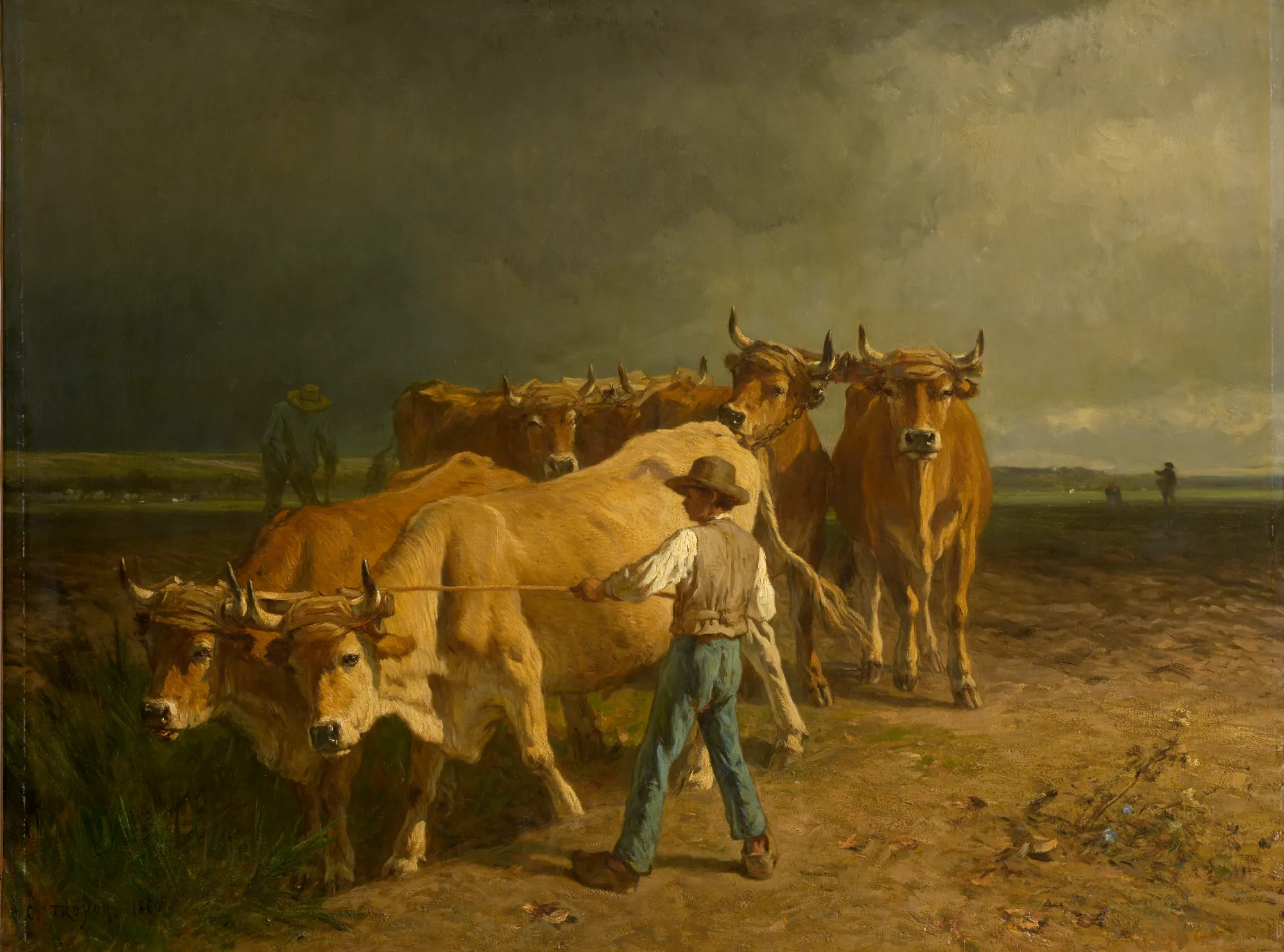 Oxen Plowing Oxen Plowing by Constant Troyon. A team of several pairs of oxen is led across a plowed field by a farmer under a dramatic, clouded sky.
