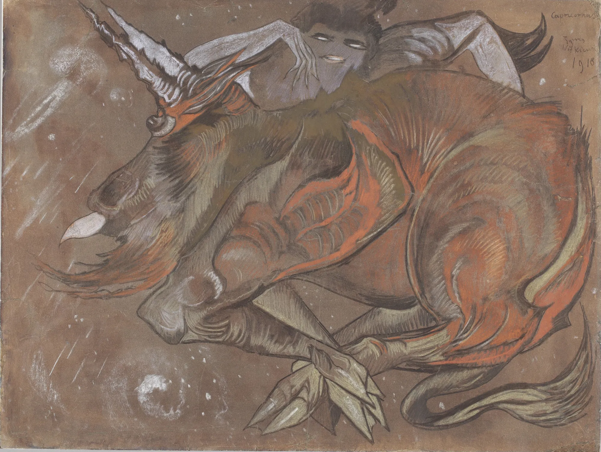Capricornus