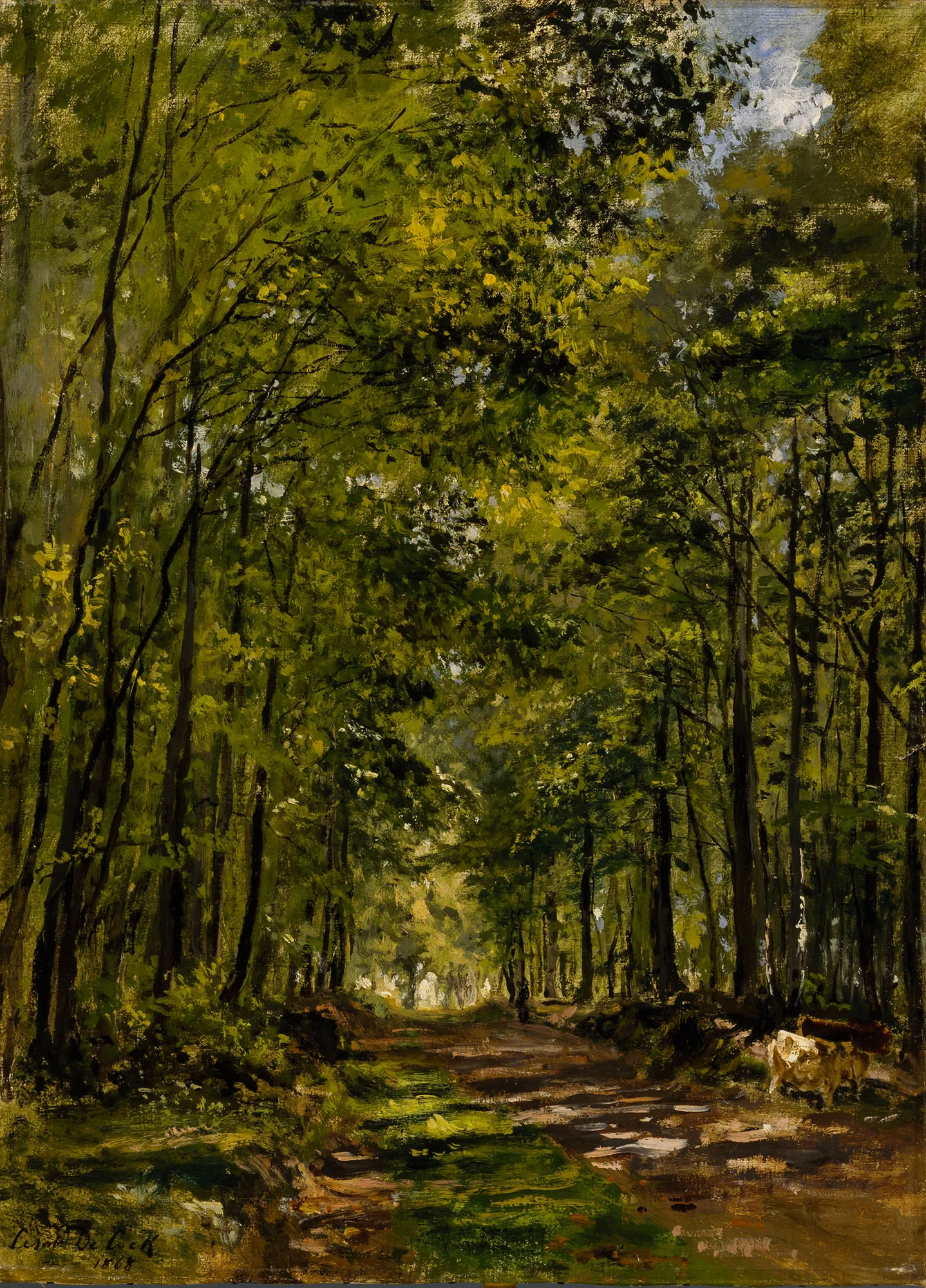 Sunny Morning in the Forest