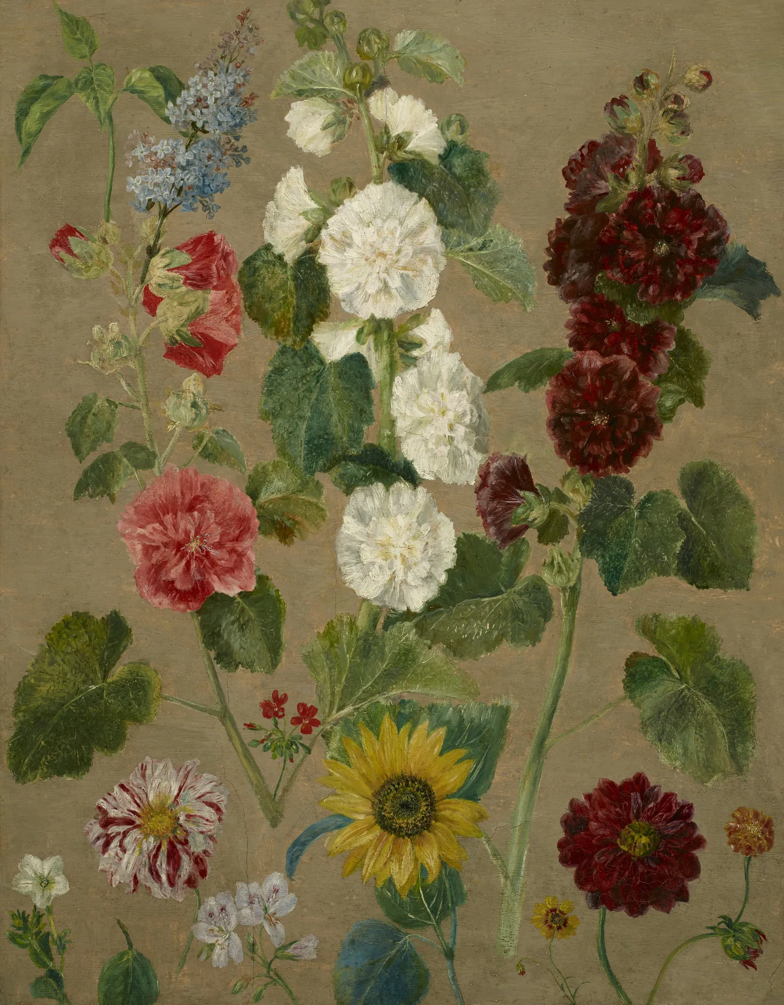 Floral Study