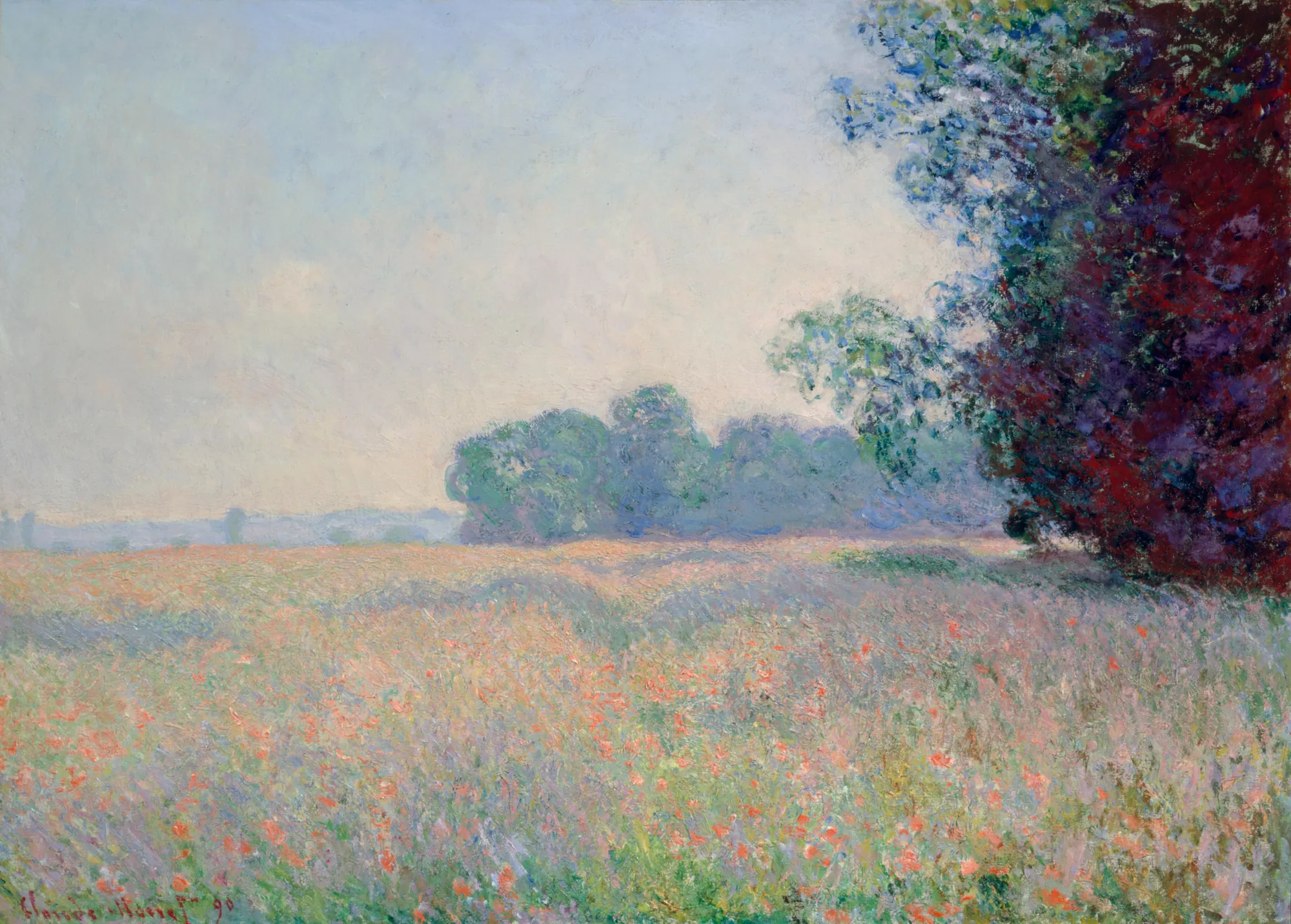 Oat Field (Champ d'avoine)