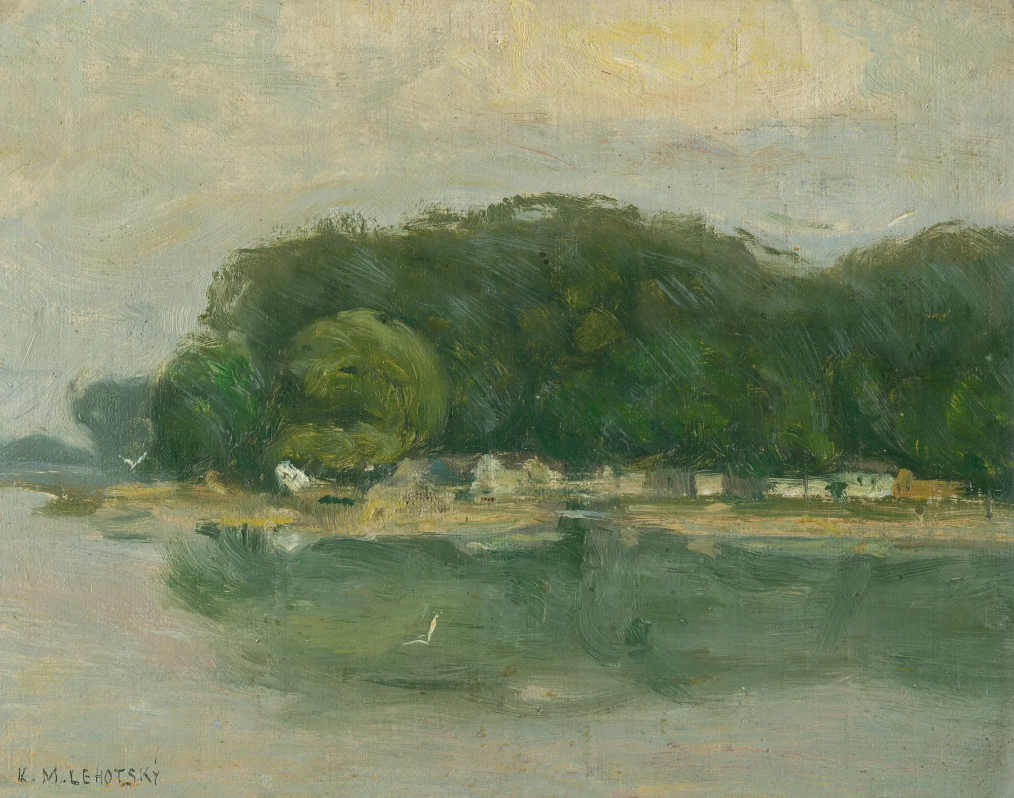 Petržalka Bank from the Danube