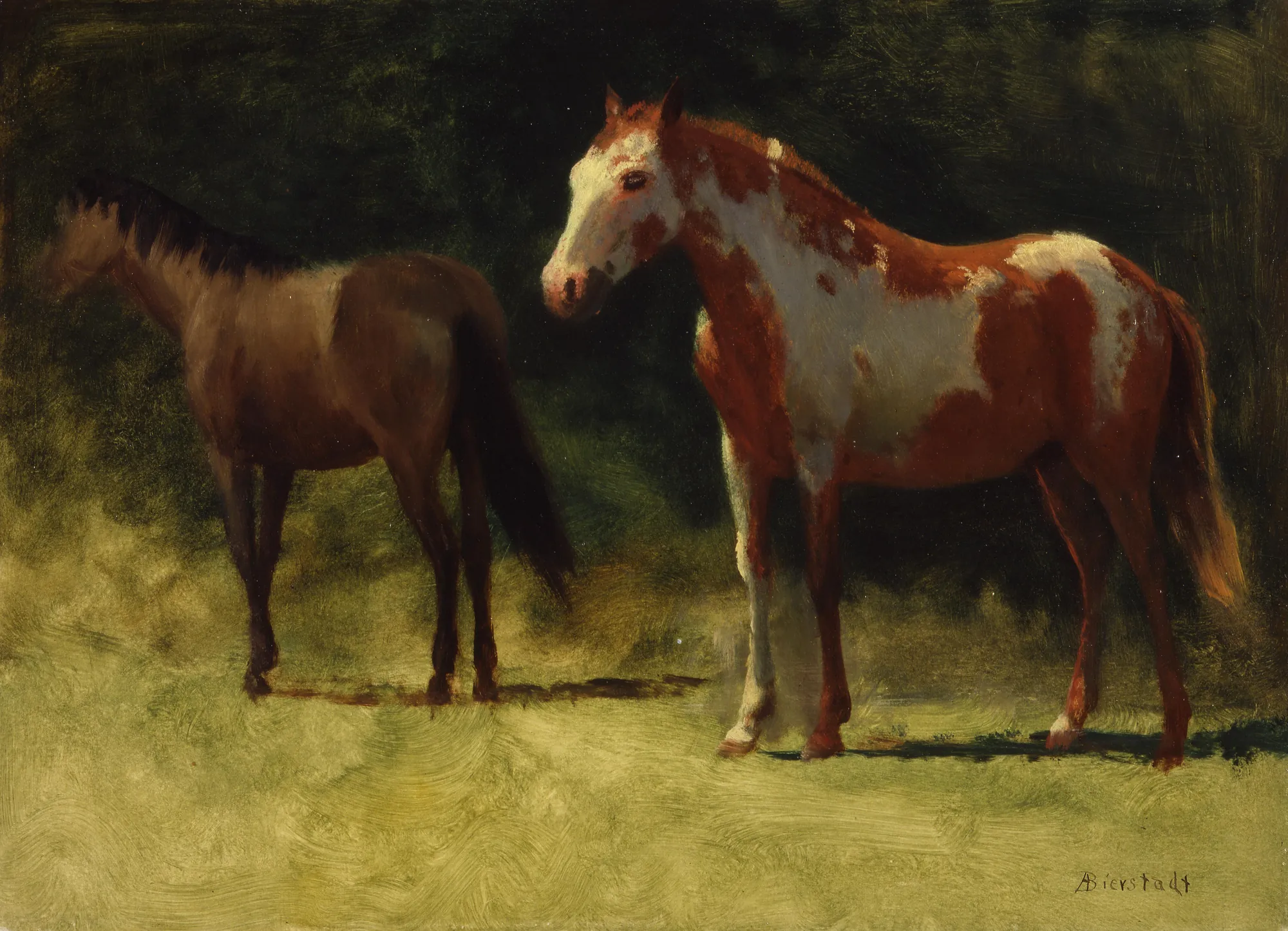 Two Horses