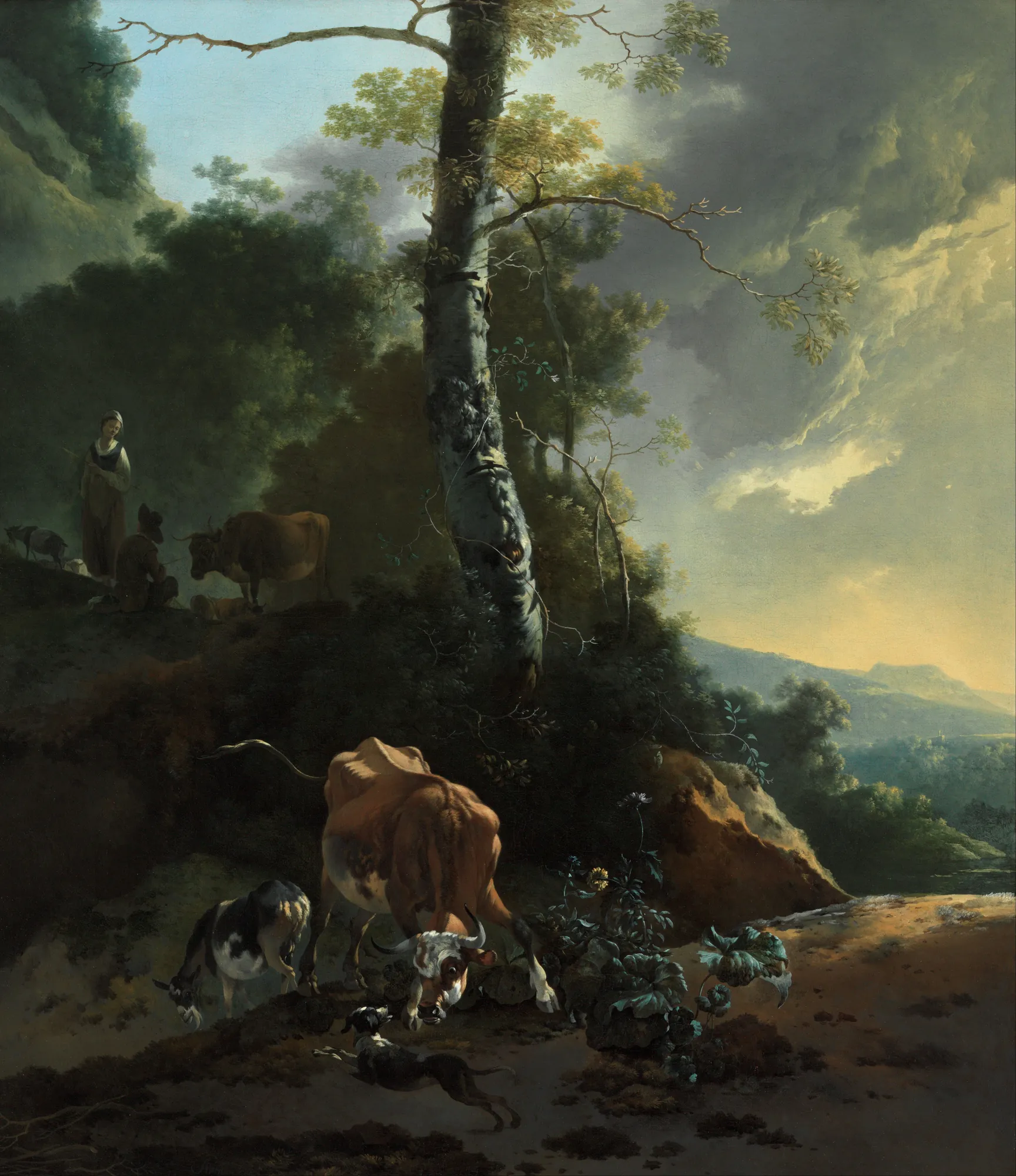 Landscape with an Enraged Ox Landscape with an Enraged Ox by Adam Pynacker. A dramatic 17th-century landscape featuring a central silver-barked tree, an agitated ox confronted by a dog in the foreground, and a turbulent, golden-lit sky.