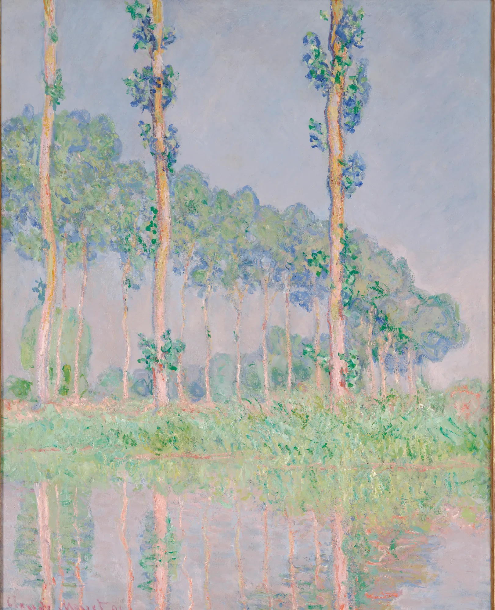 Poplars, Pink Effect