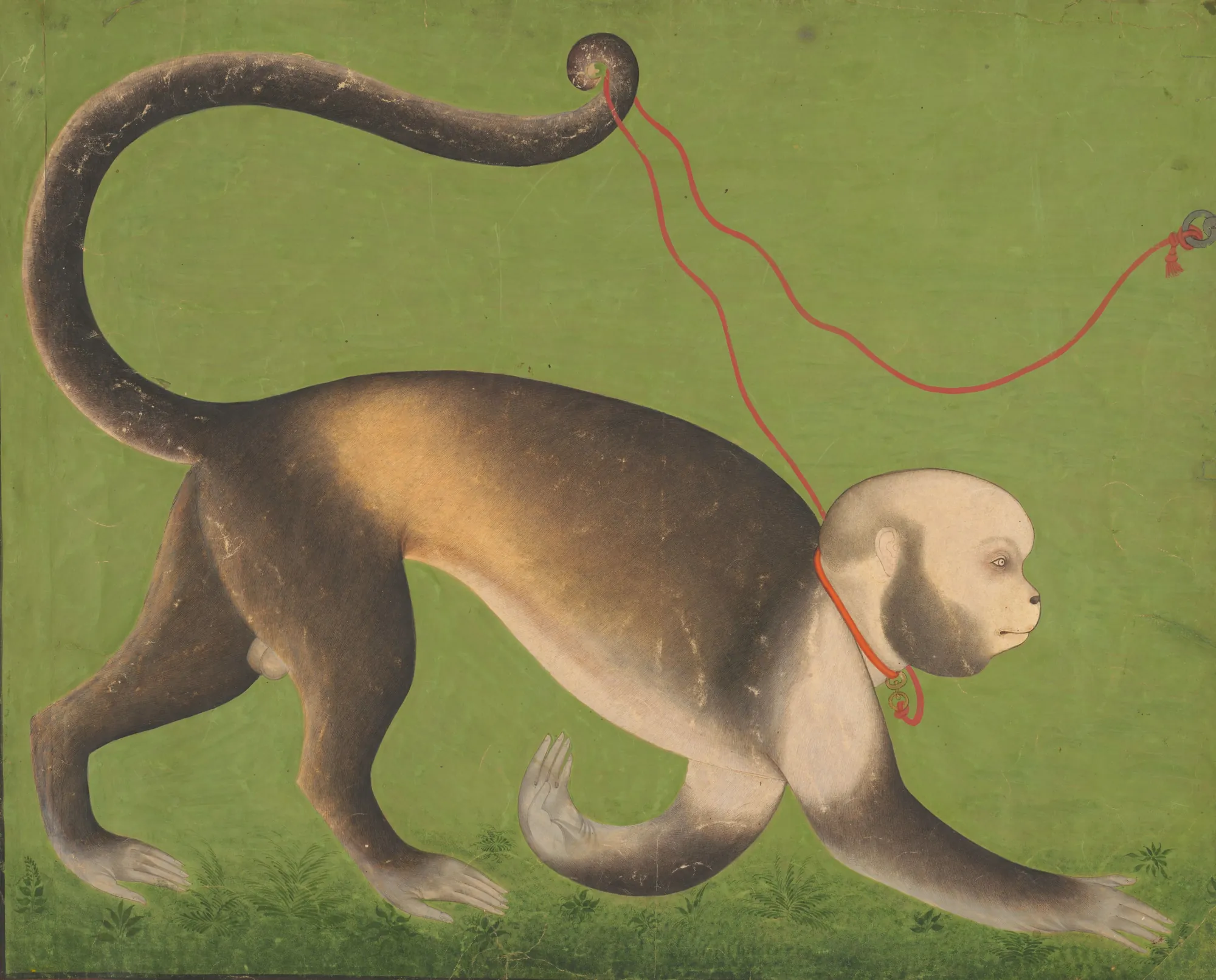 A Monumental Portrait of a Monkey