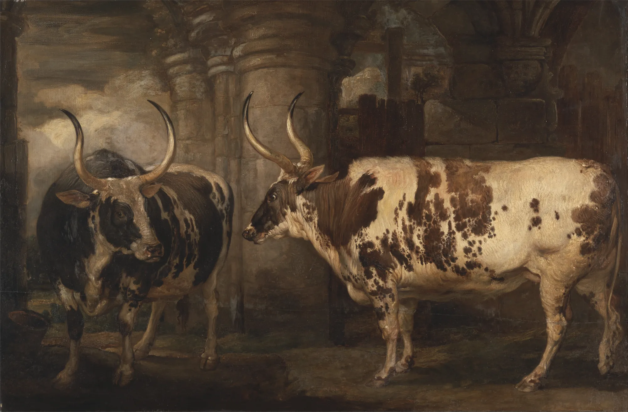 Portraits of Two Extraordinary Oxen