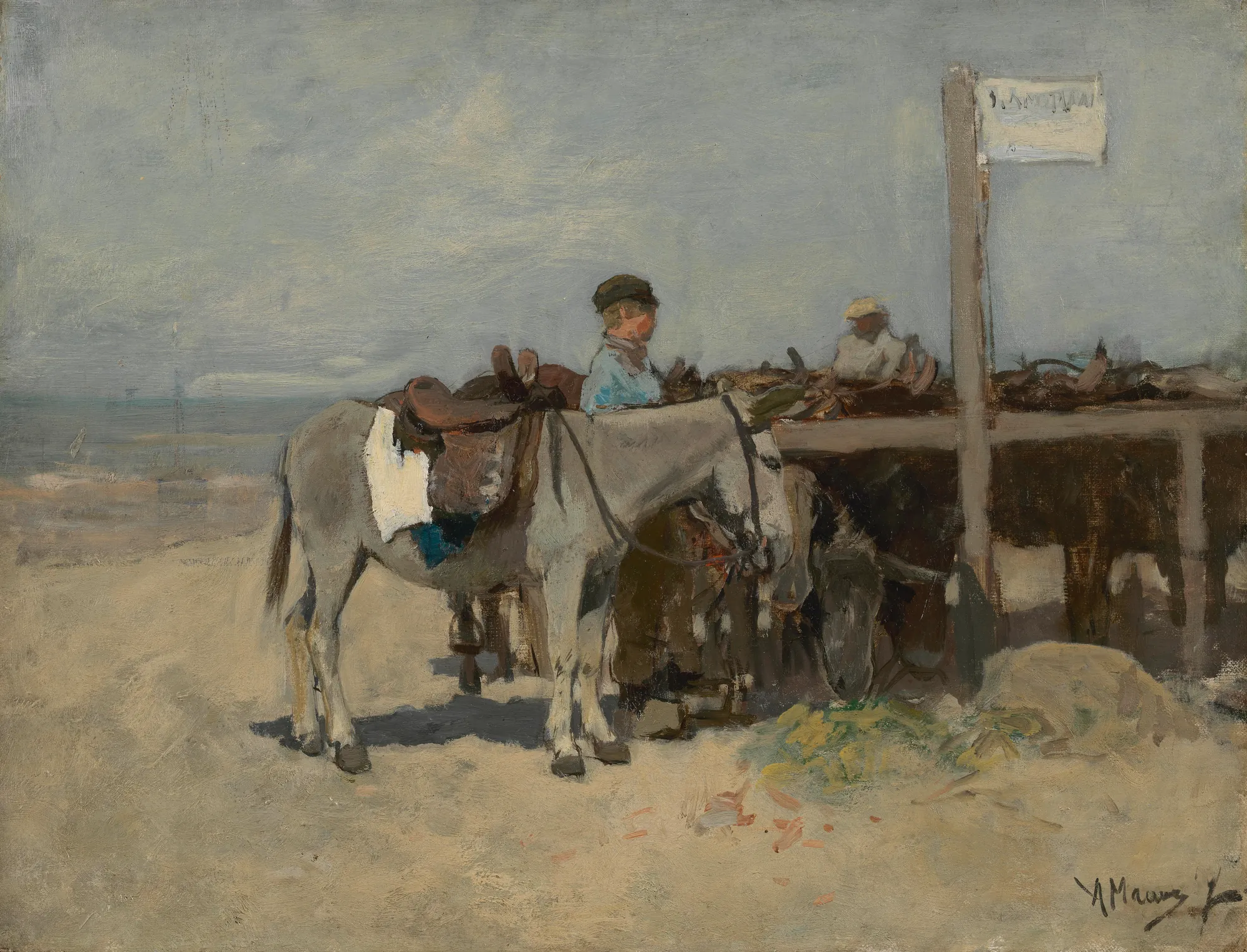 Donkey Stand on the Beach at Scheveningen