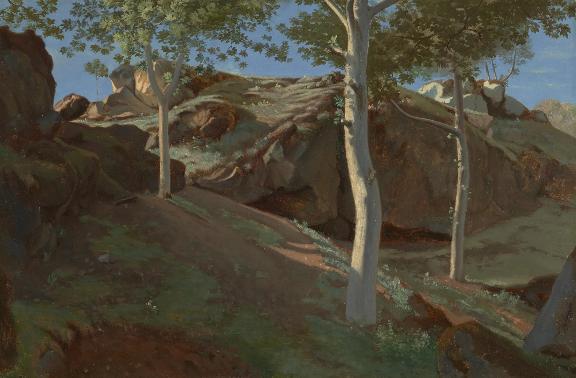Birch Trees on a Rocky Incline, Fontainebleau